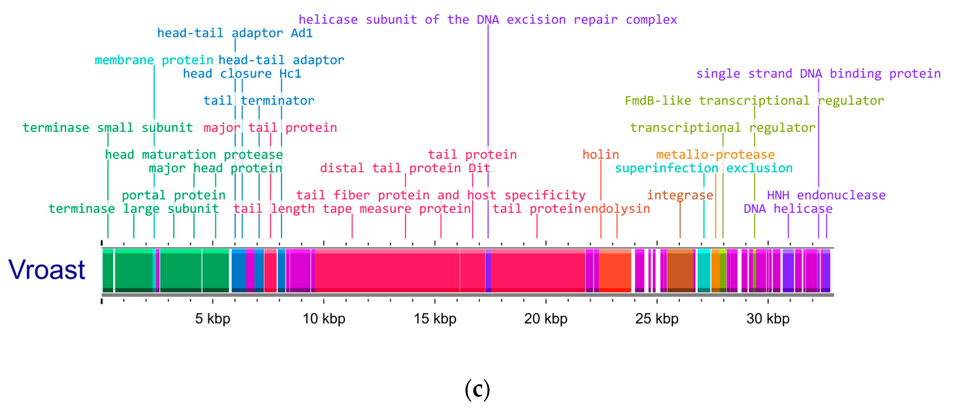 Applmicrobiol 05 00028 g001b