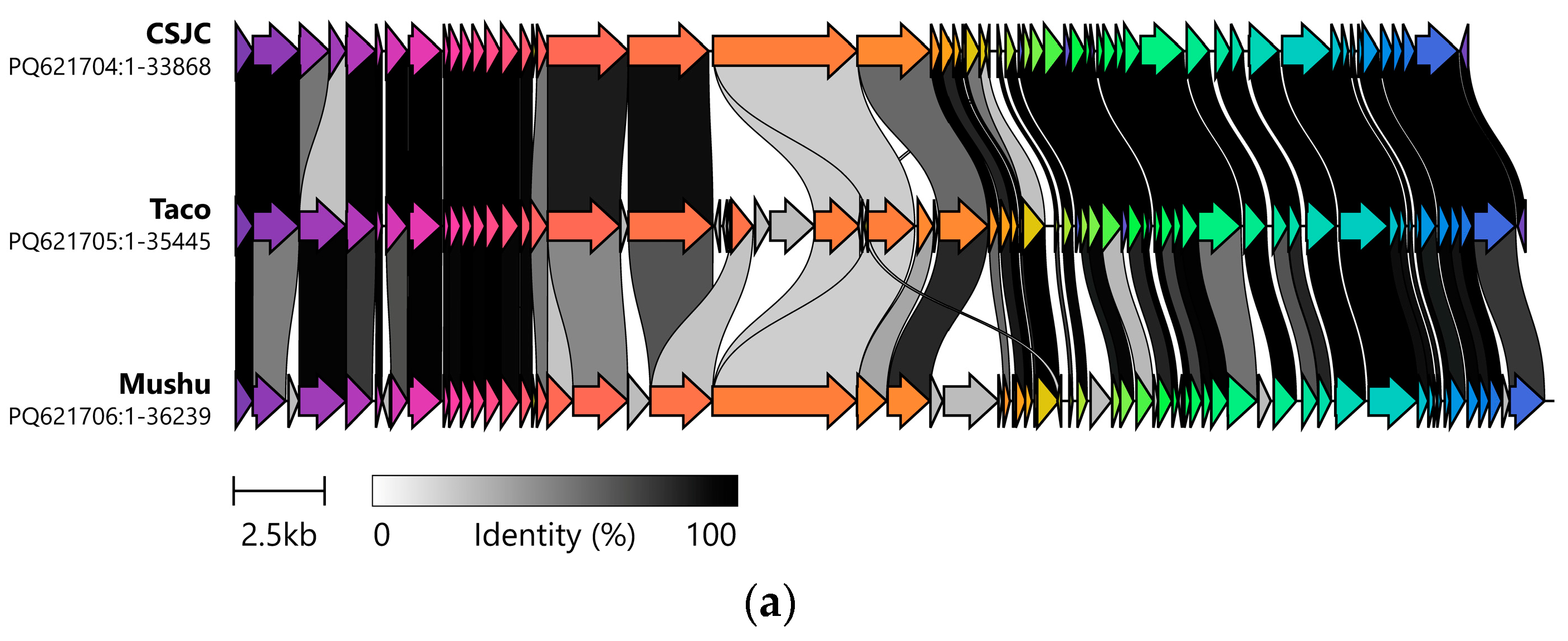 Applmicrobiol 05 00028 g003a