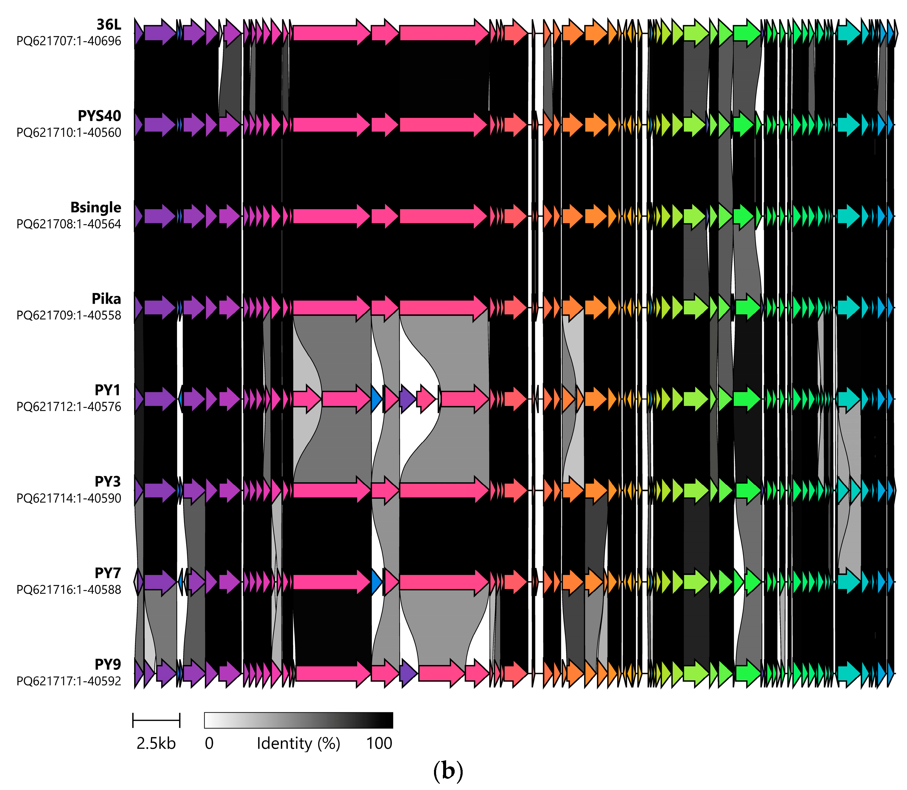 Applmicrobiol 05 00028 g003b