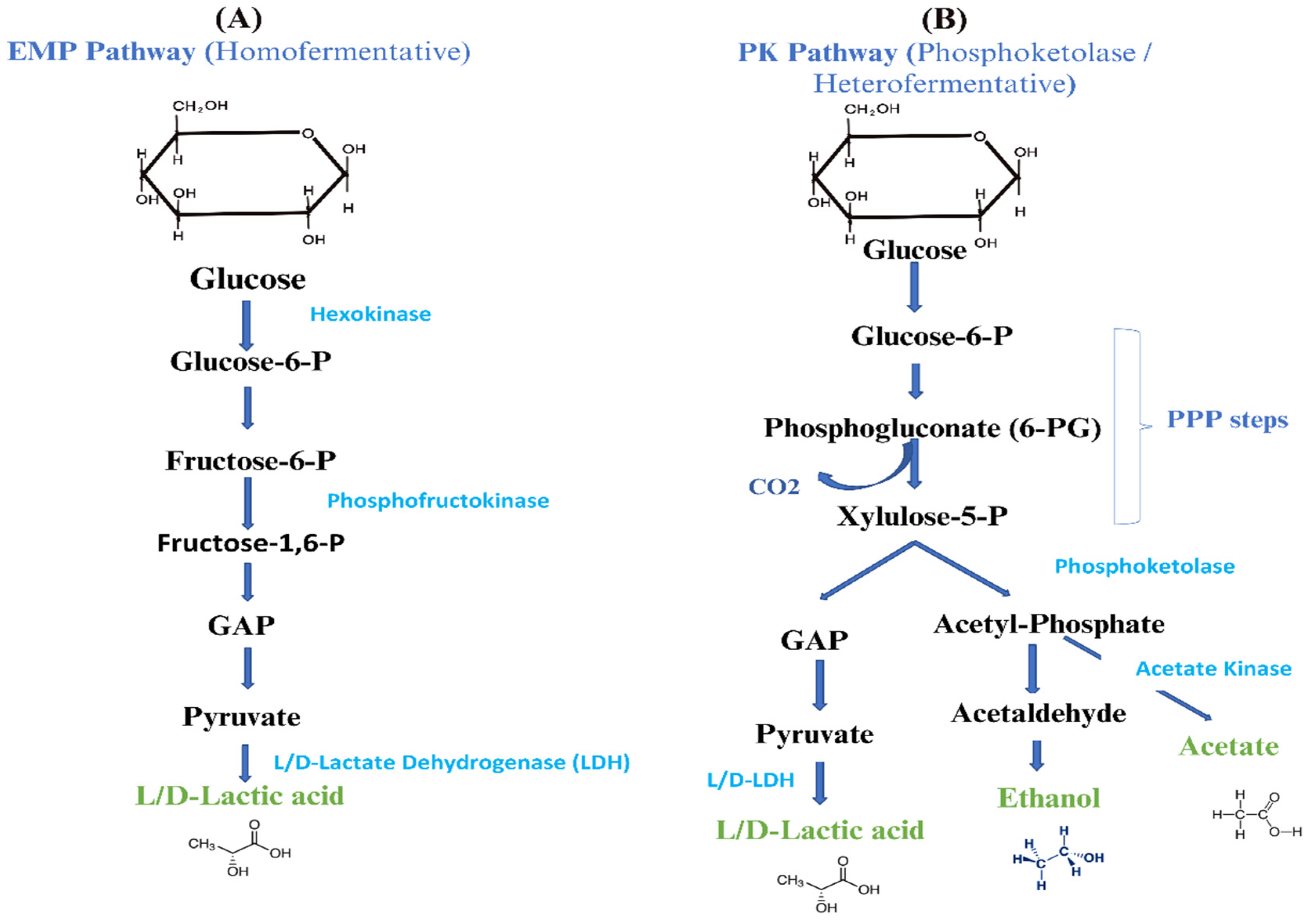 Applmicrobiol 05 00074 g001