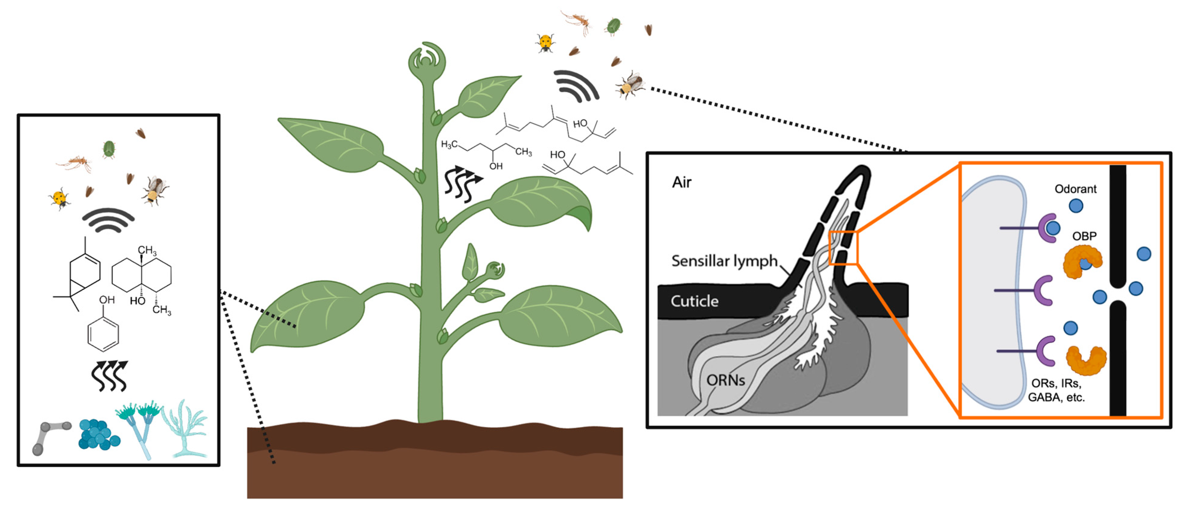 Applmicrobiol 05 00090 g001 Applmicrobiol 05 00090 g001