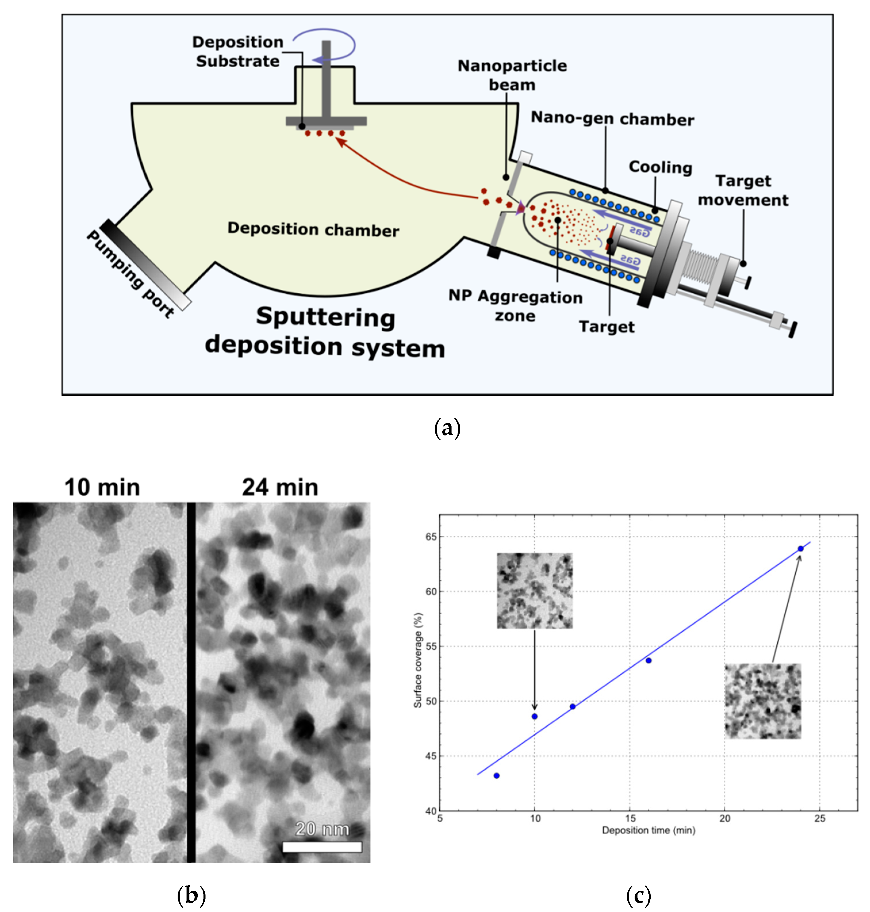 Applnano 01 00006 g001 Applnano 01 00006 g001