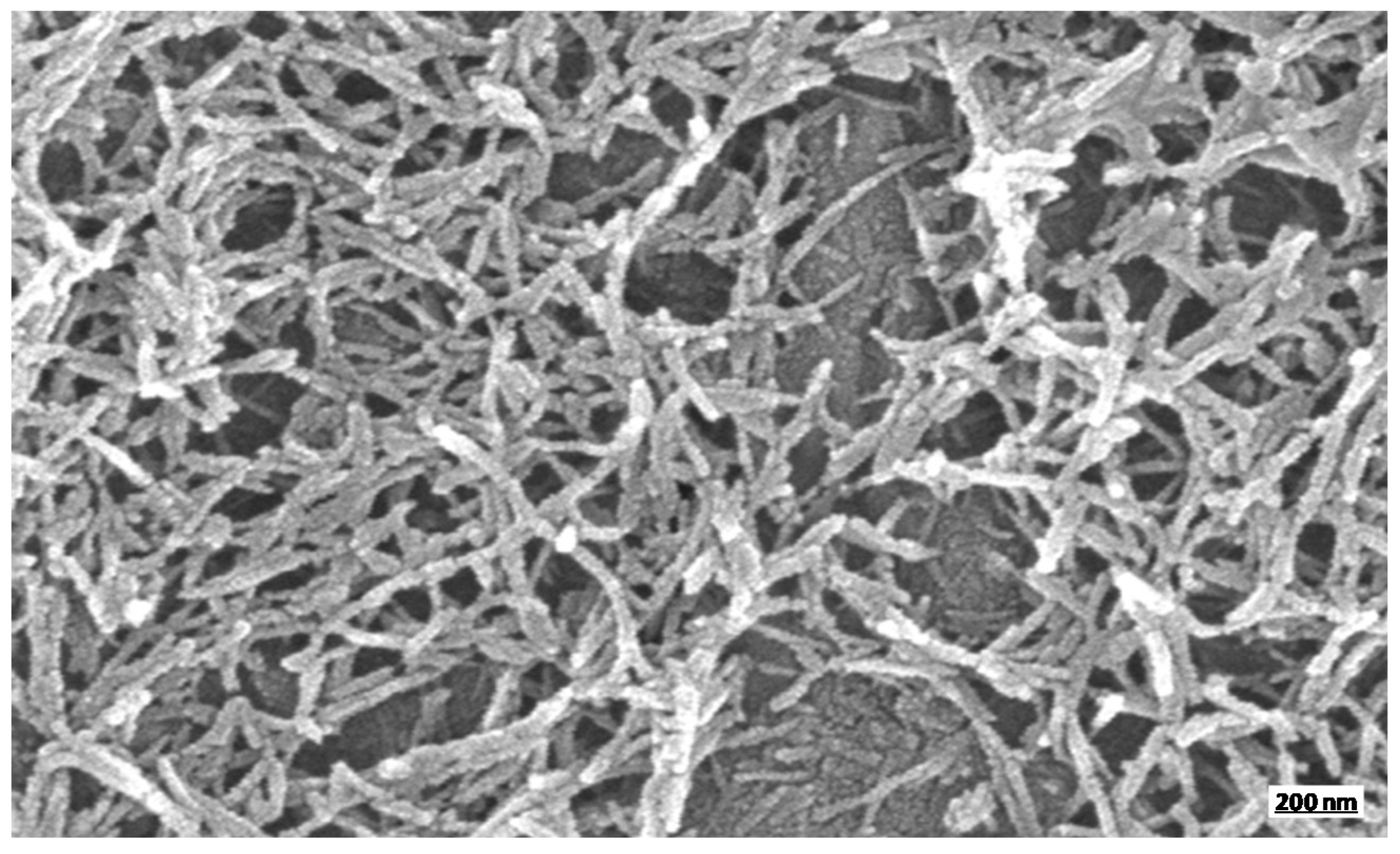 Applnano 02 00010 g001