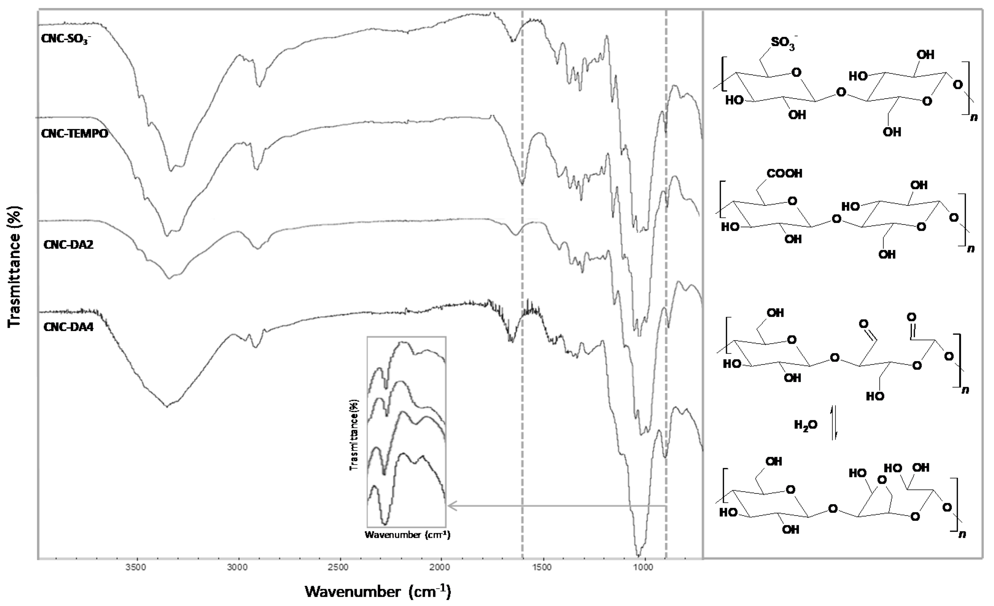Applnano 02 00010 g002