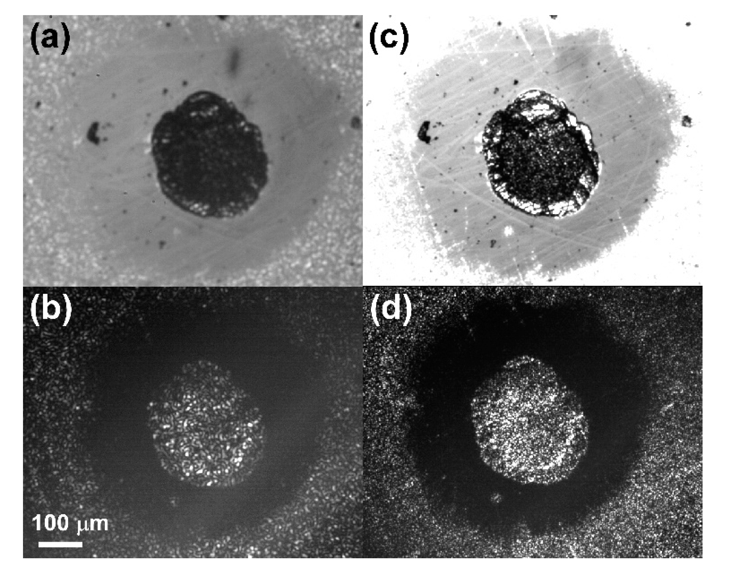 Applnano 02 00023 g005