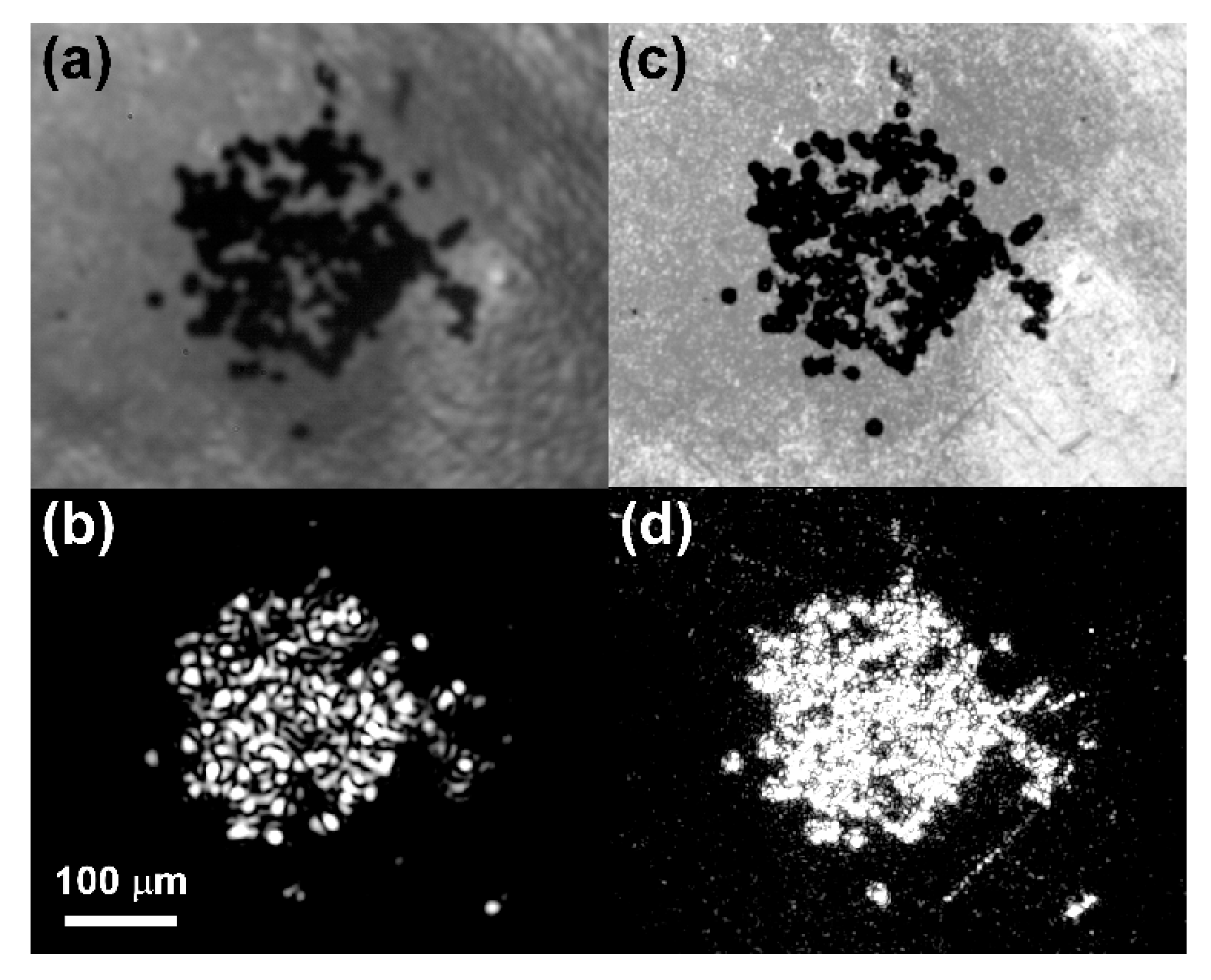 Applnano 02 00023 g006