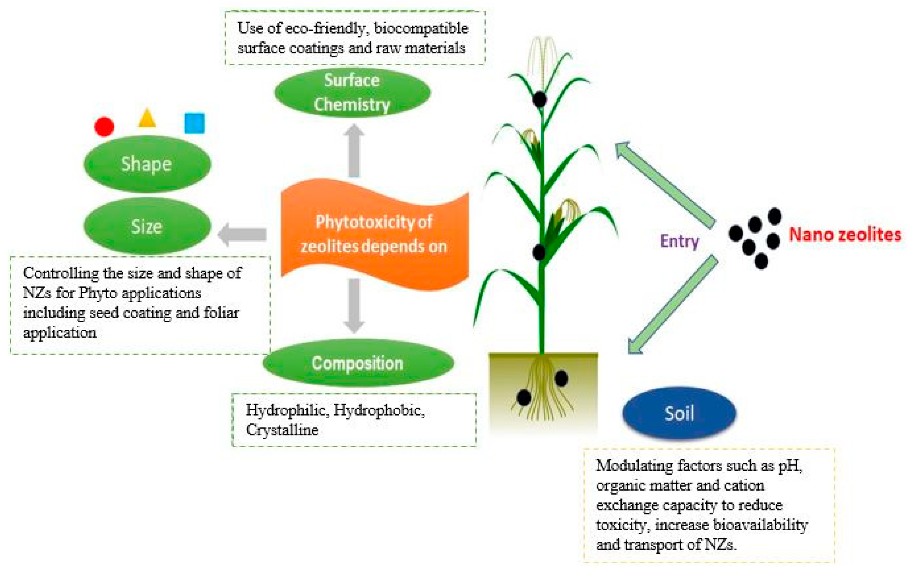 Applied Nano | Free Full-Text | Zeolites As Carriers Of Nano ...