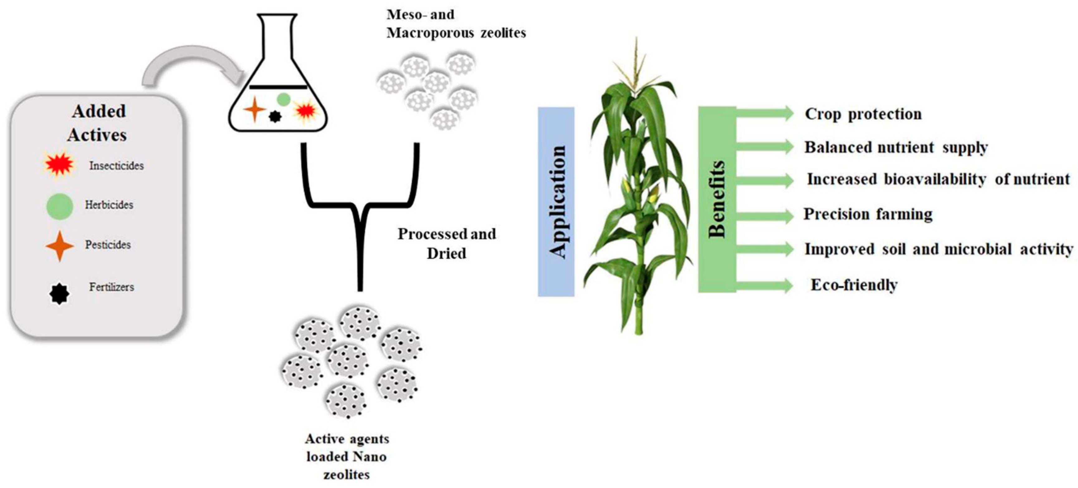 Applied Nano Free FullText Zeolites as Carriers of Nano