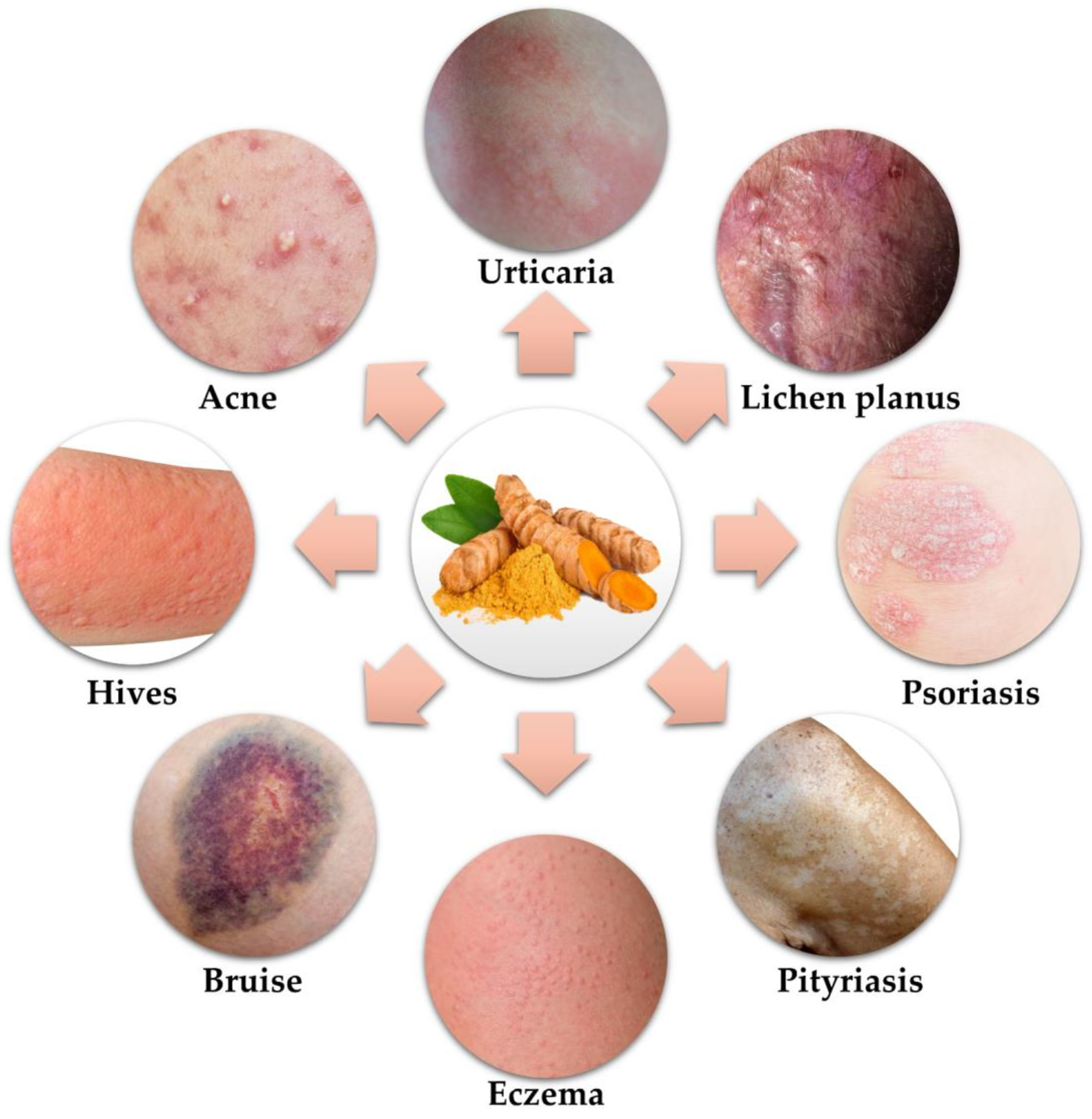 Applnano 03 00015 g001 Applnano 03 00015 g001