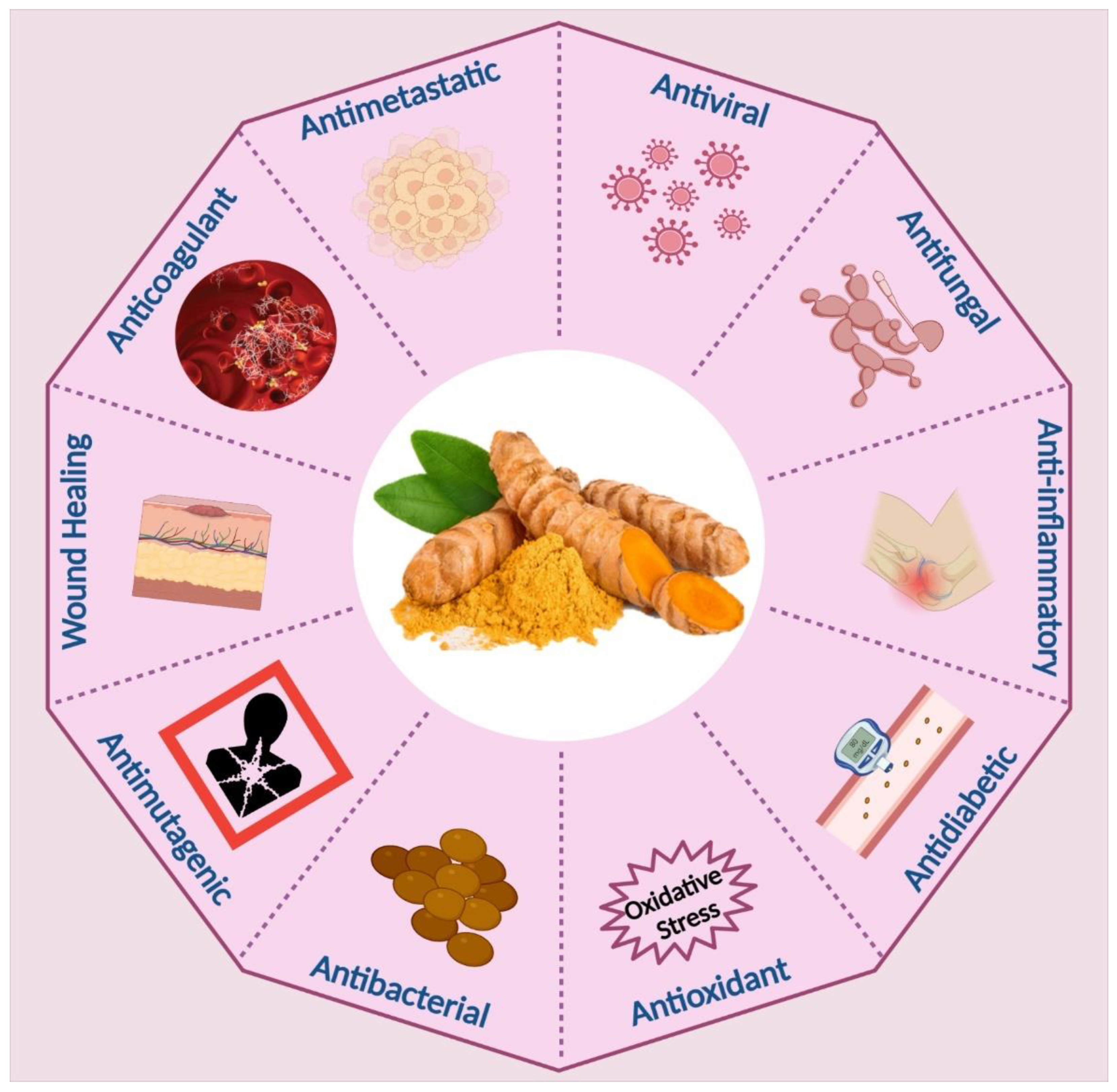Applnano 03 00015 g003 Applnano 03 00015 g003