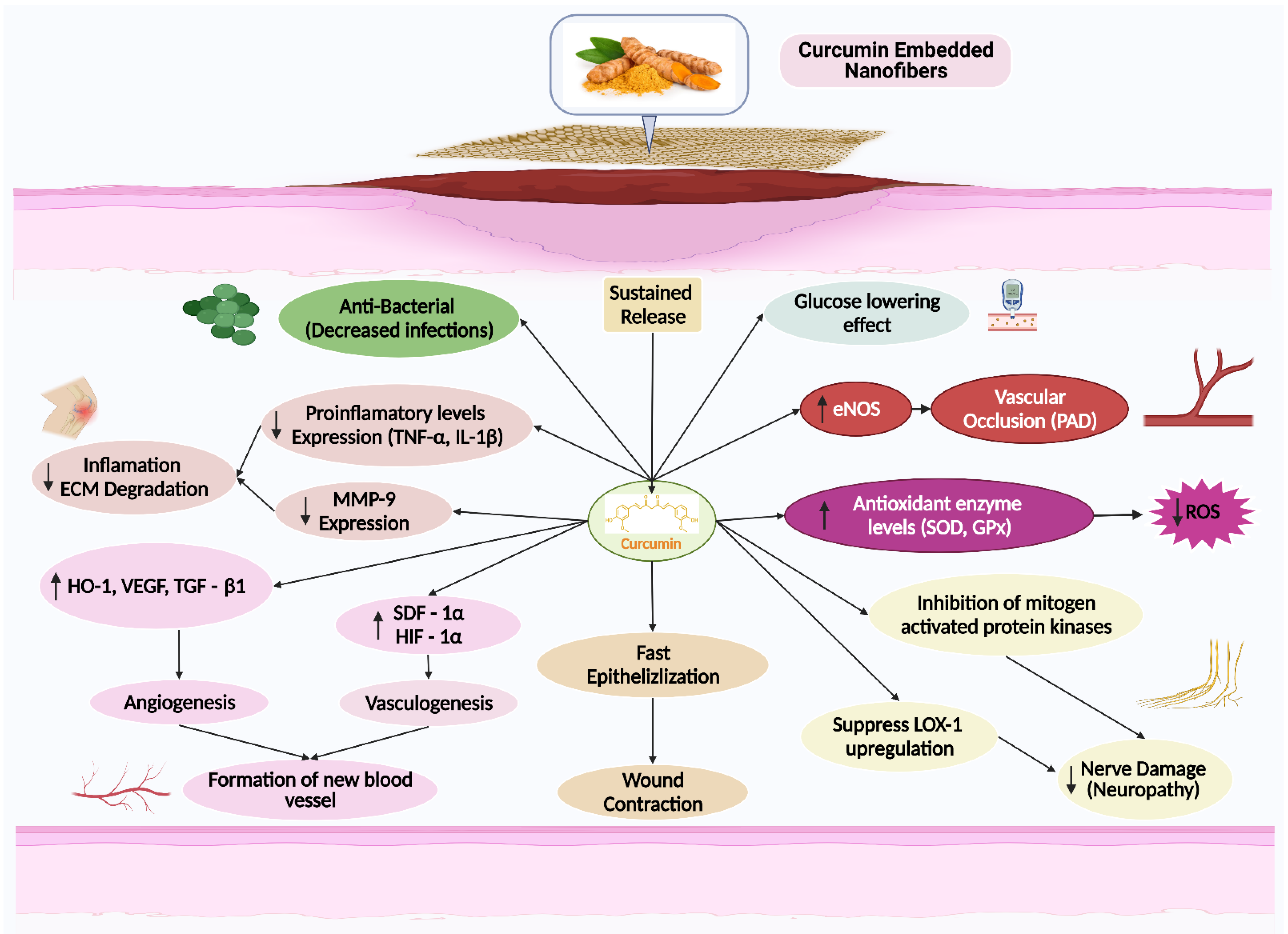 Applnano 03 00015 g004 Applnano 03 00015 g004