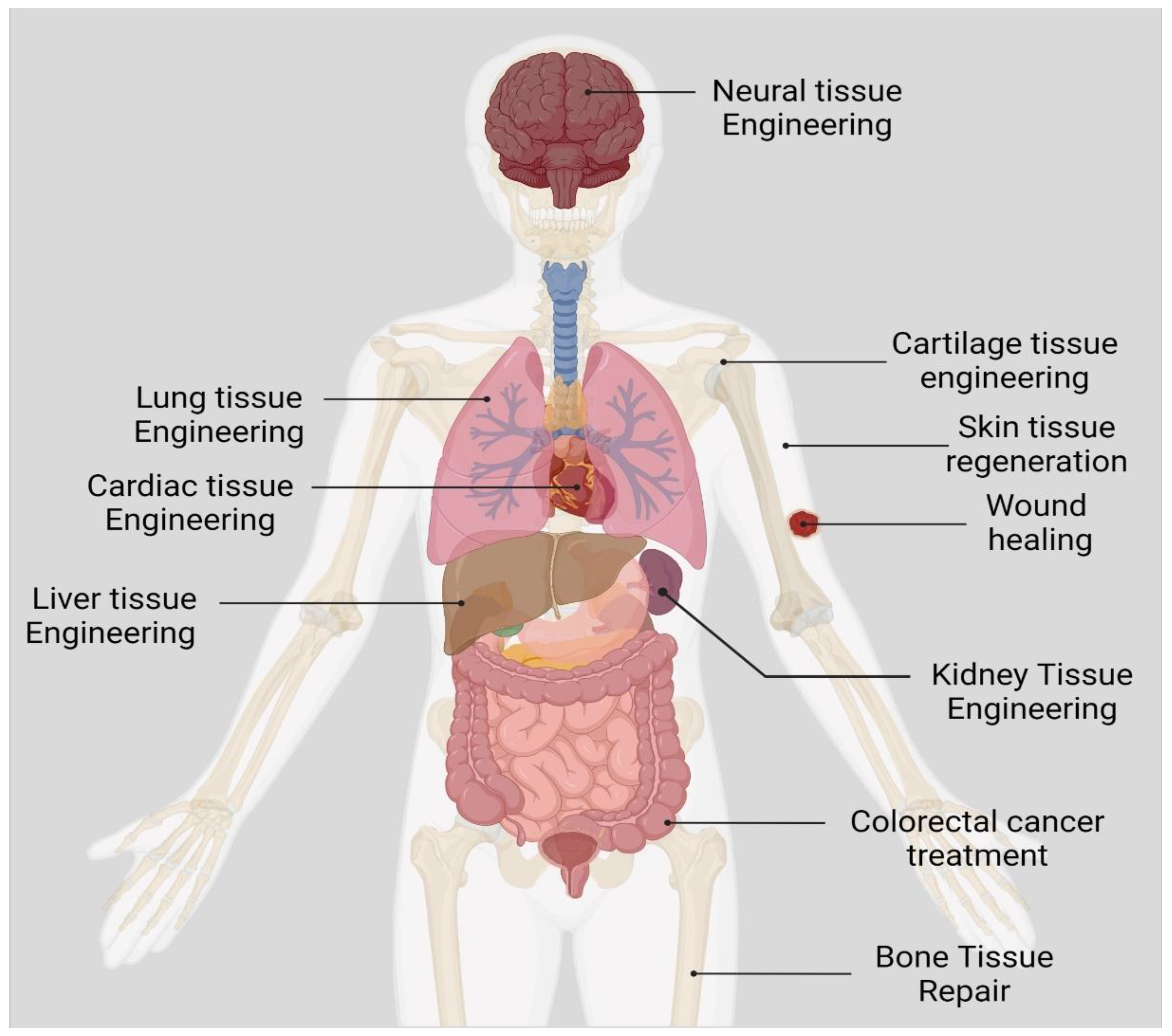 Applnano 03 00015 g005 Applnano 03 00015 g005