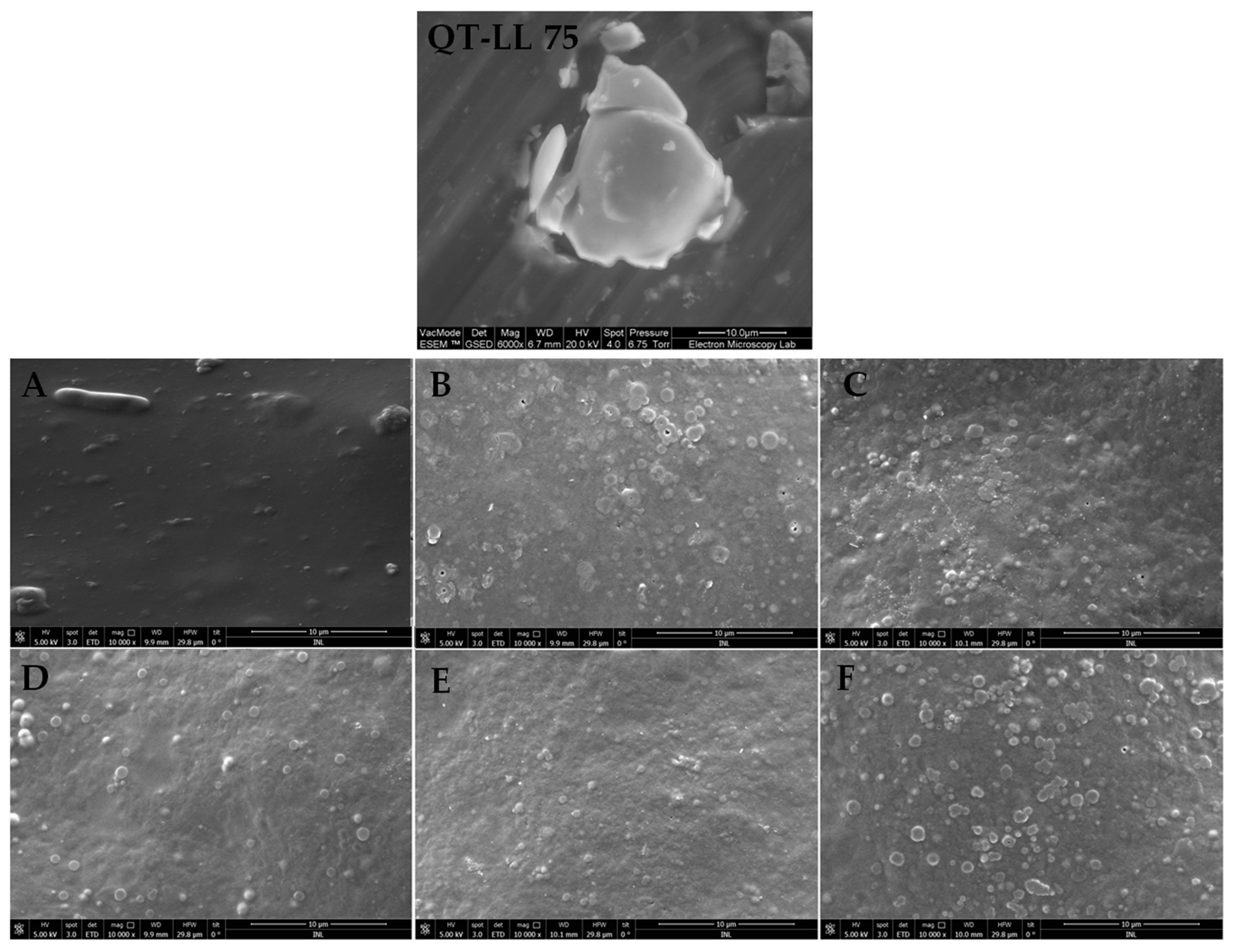 Applnano 04 00009 g003 Applnano 04 00009 g003