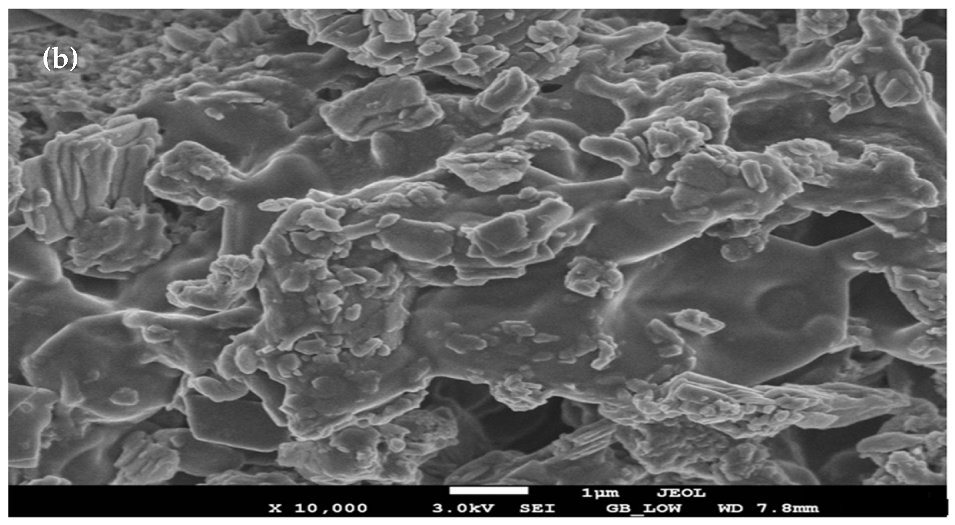 Applnano 04 00013 g006b Applnano 04 00013 g006b