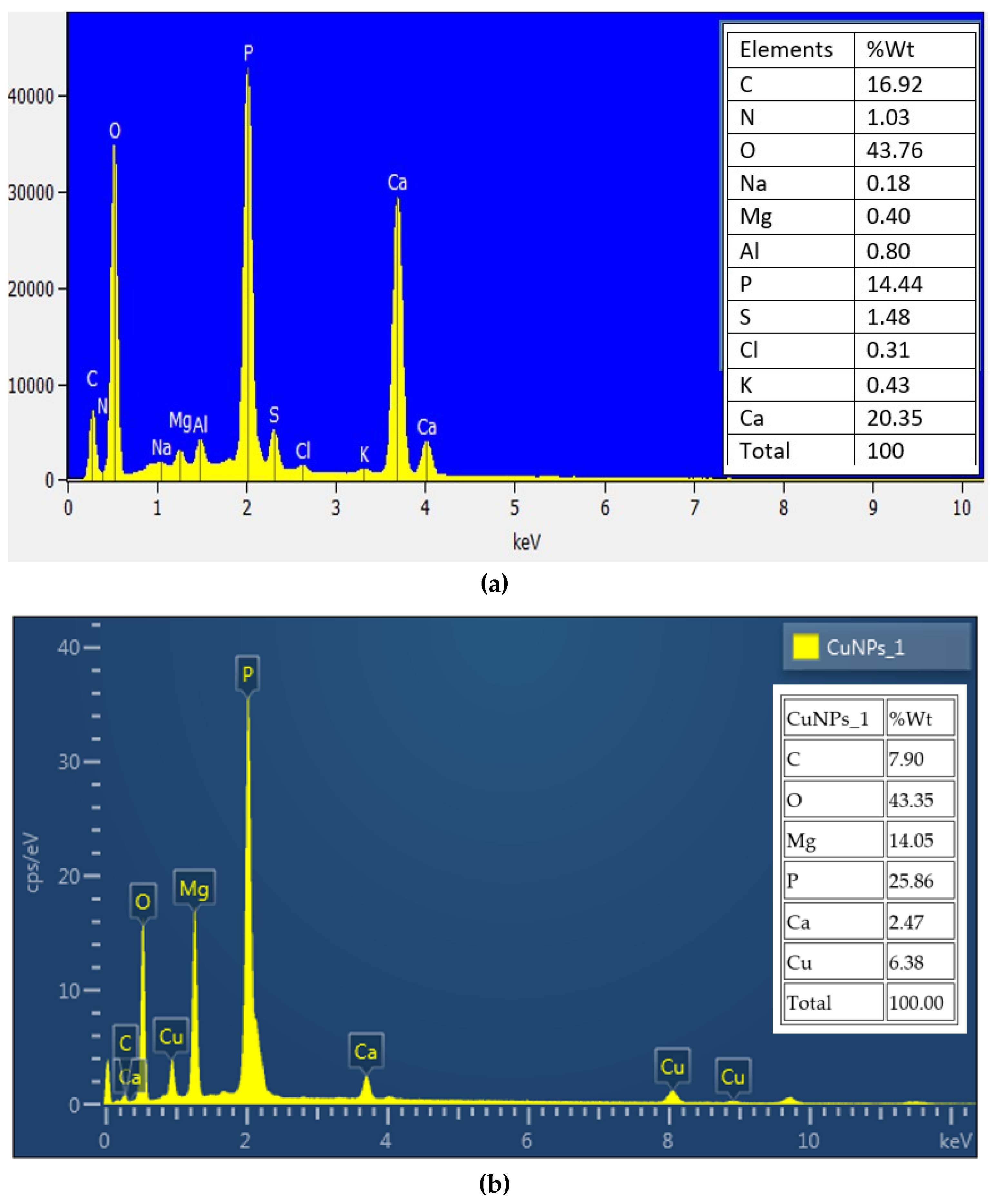 Applnano 04 00013 g007 Applnano 04 00013 g007