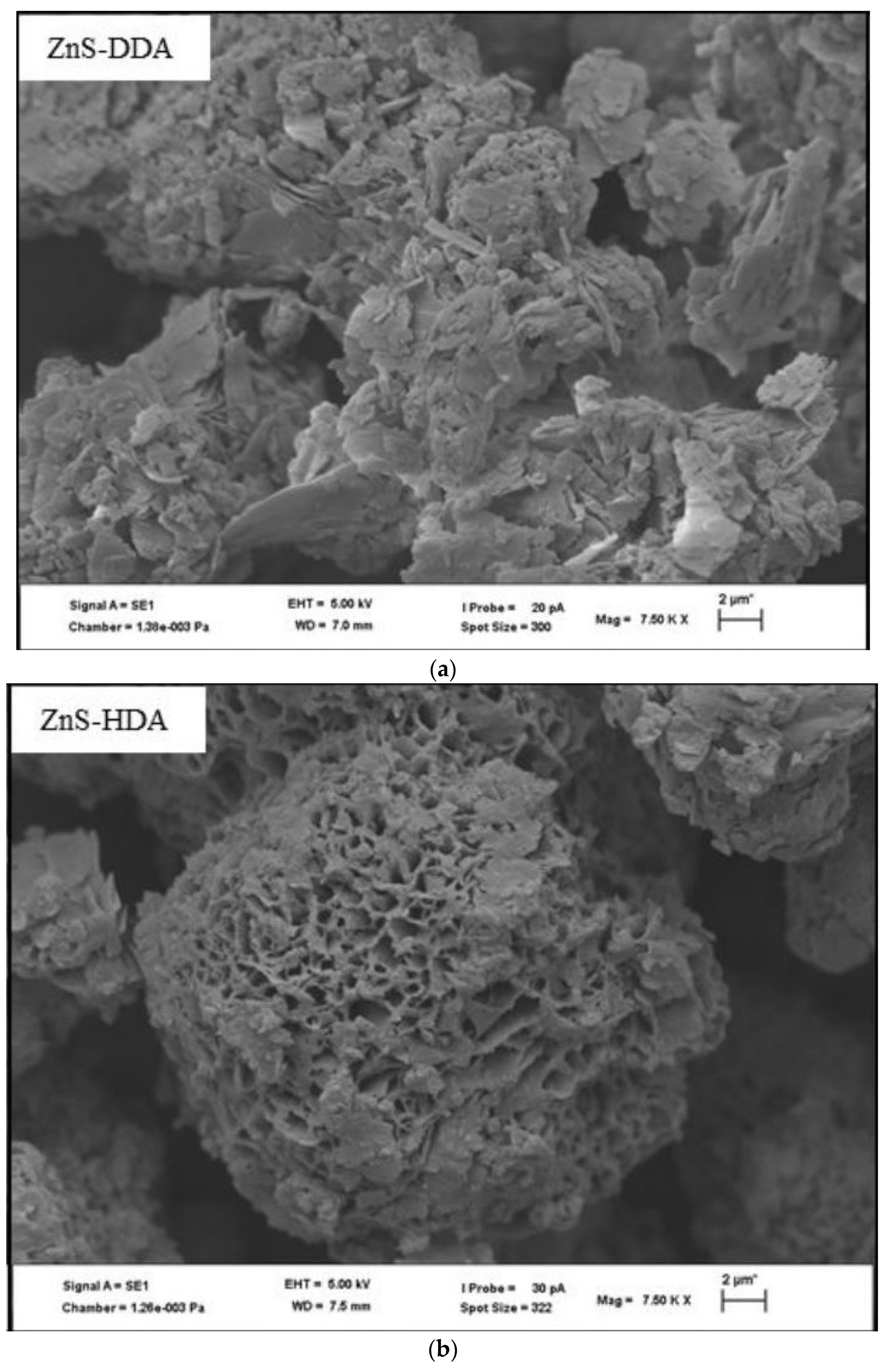 Applnano 05 00010 g003a Applnano 05 00010 g003a