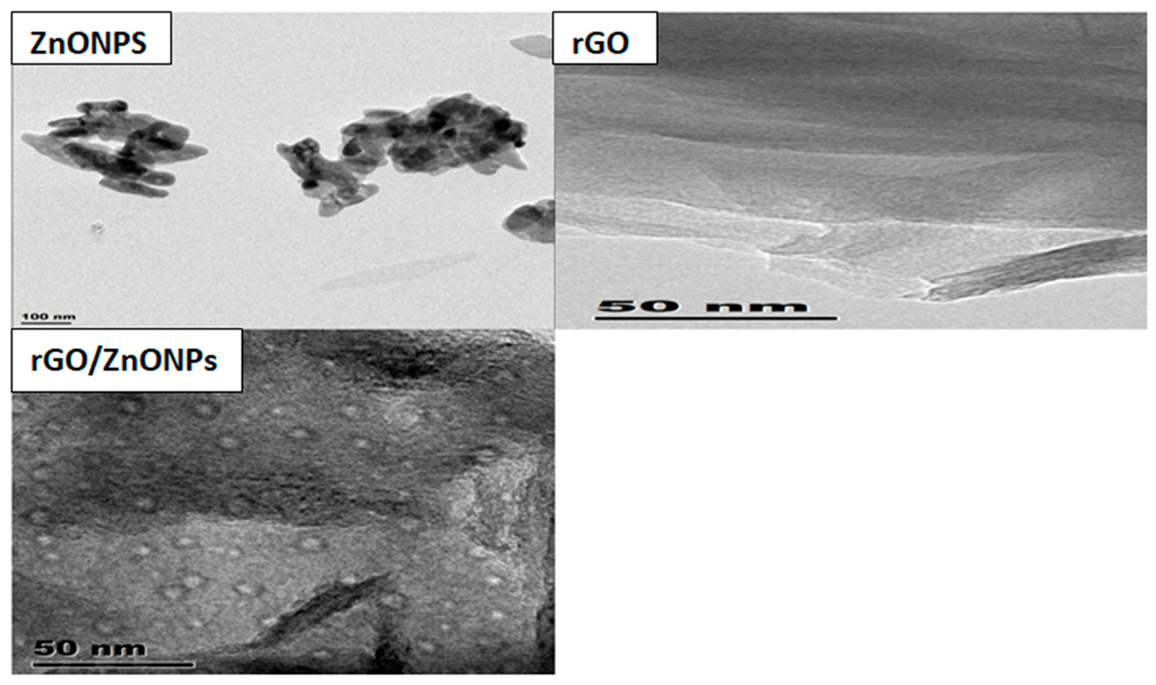 Applnano 05 00012 g004