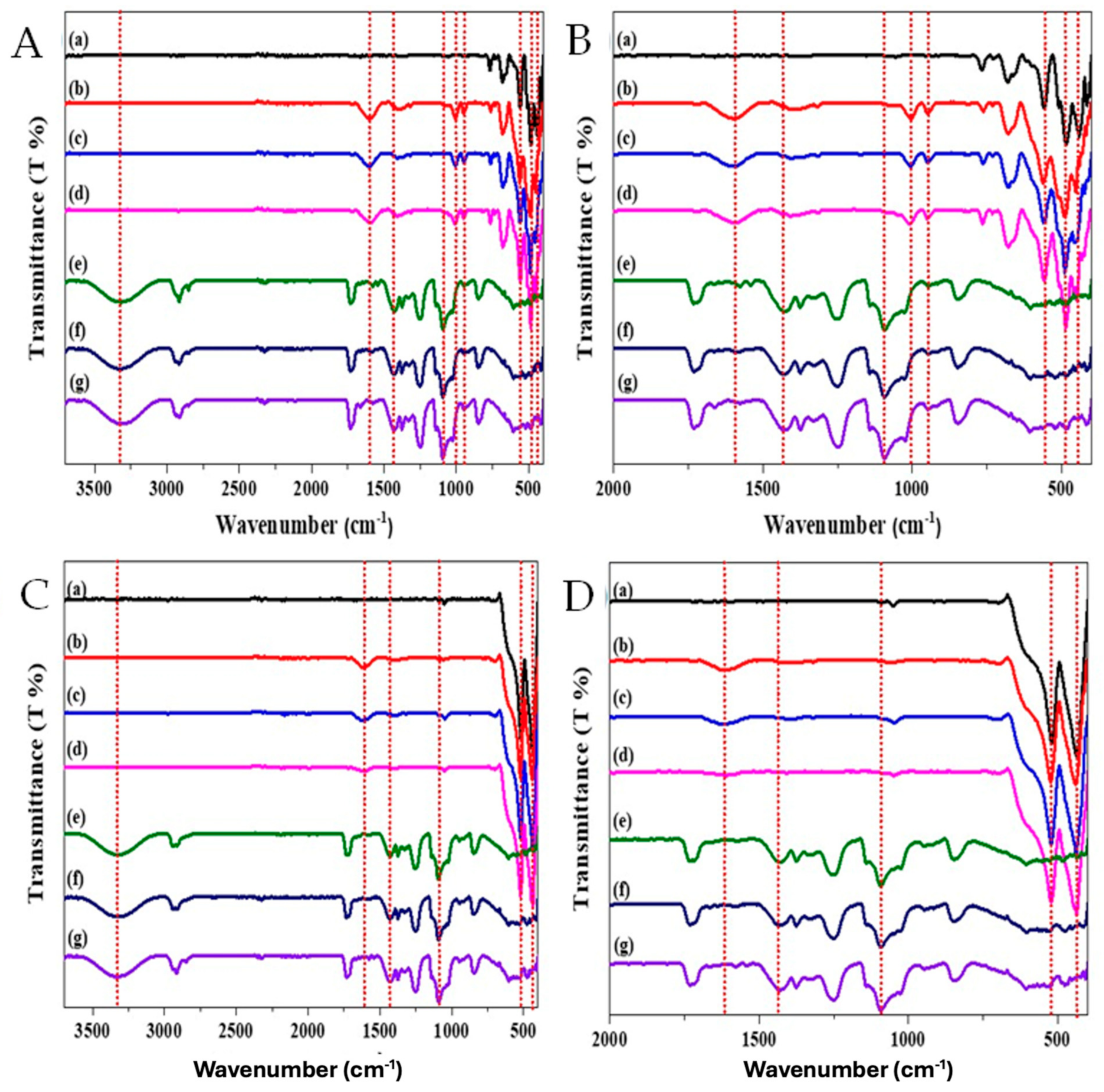 Applnano 05 00016 g002