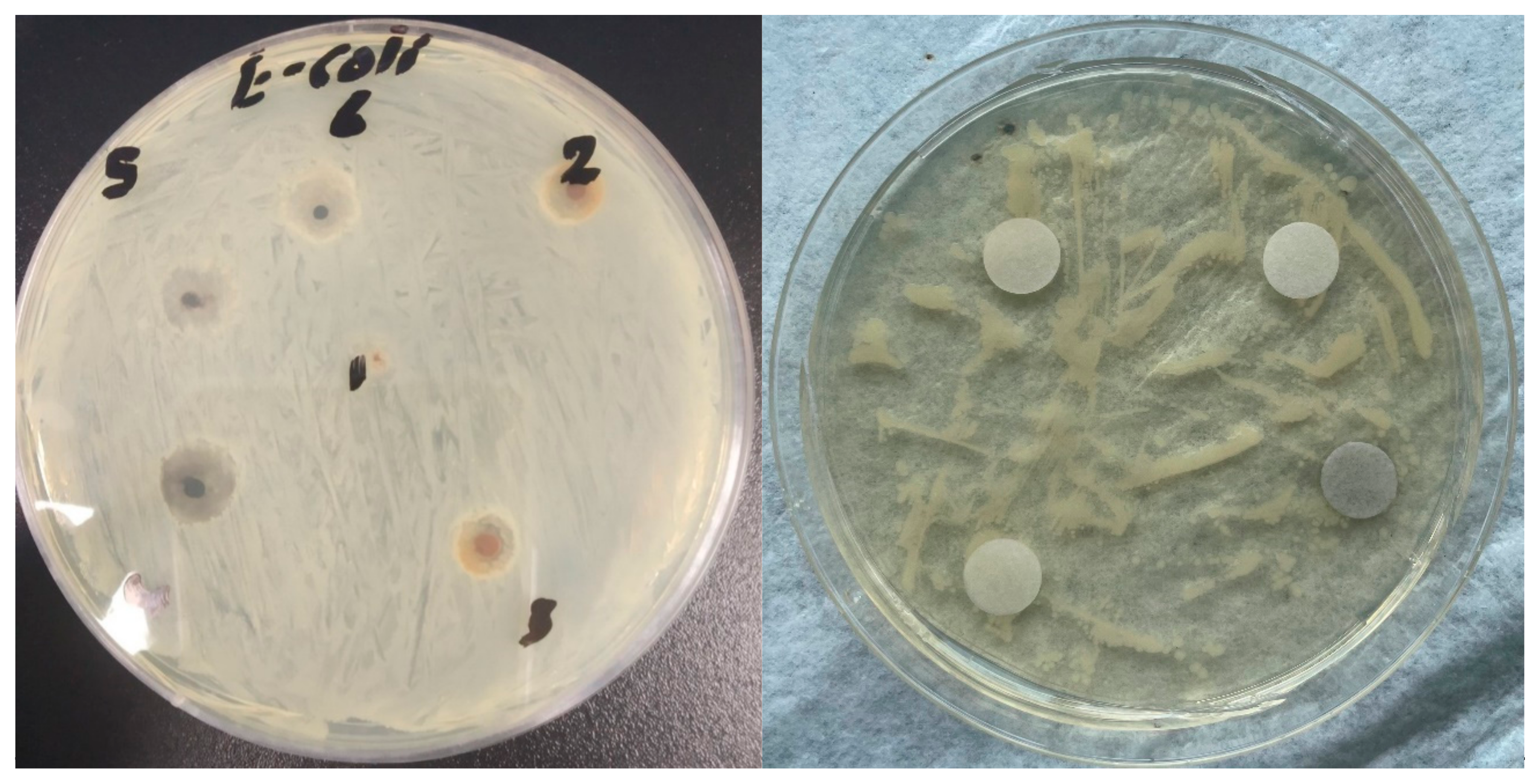 Applnano 05 00016 g005