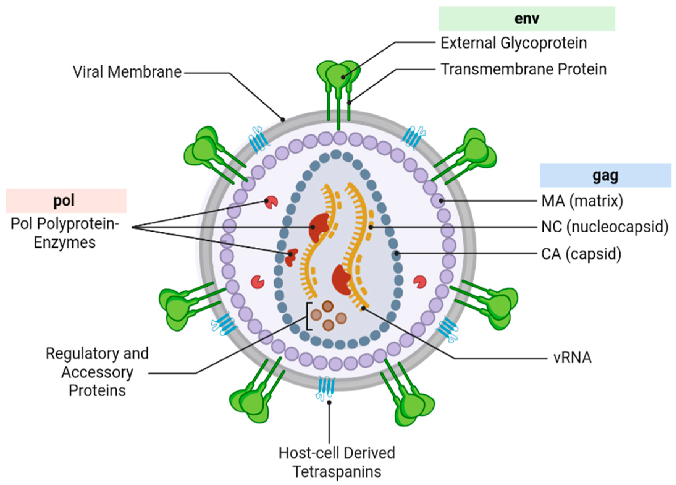 Applnano 06 00013 g001