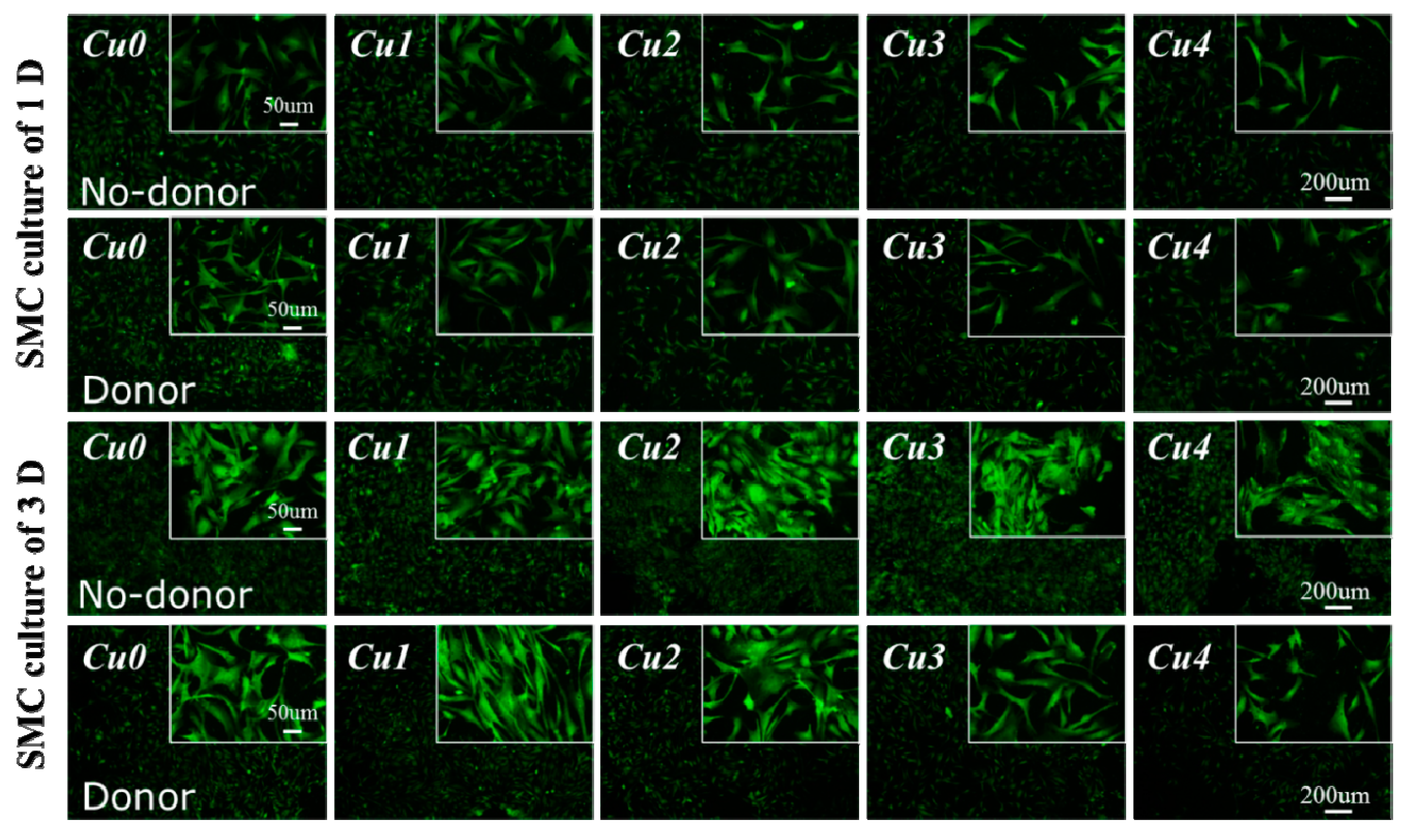 Applsci 05 01016 g006