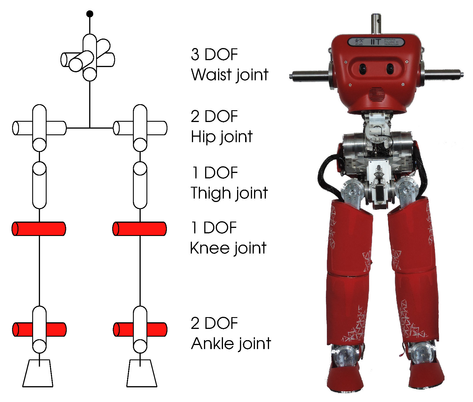 Applied Sciences | Free Full-Text | Bio-Inspired Optimal Control Framework  to Generate Walking Motions for the Humanoid Robot iCub Using Whole Body  Models