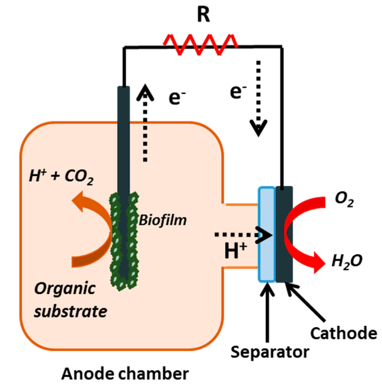 Applied Sciences Free Full Text Treatment Of Mineral Oil Refinery Wastewater In Microbial Fuel Cells Using Ionic Liquid Based Separators Html