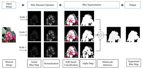 detect measure image blur software