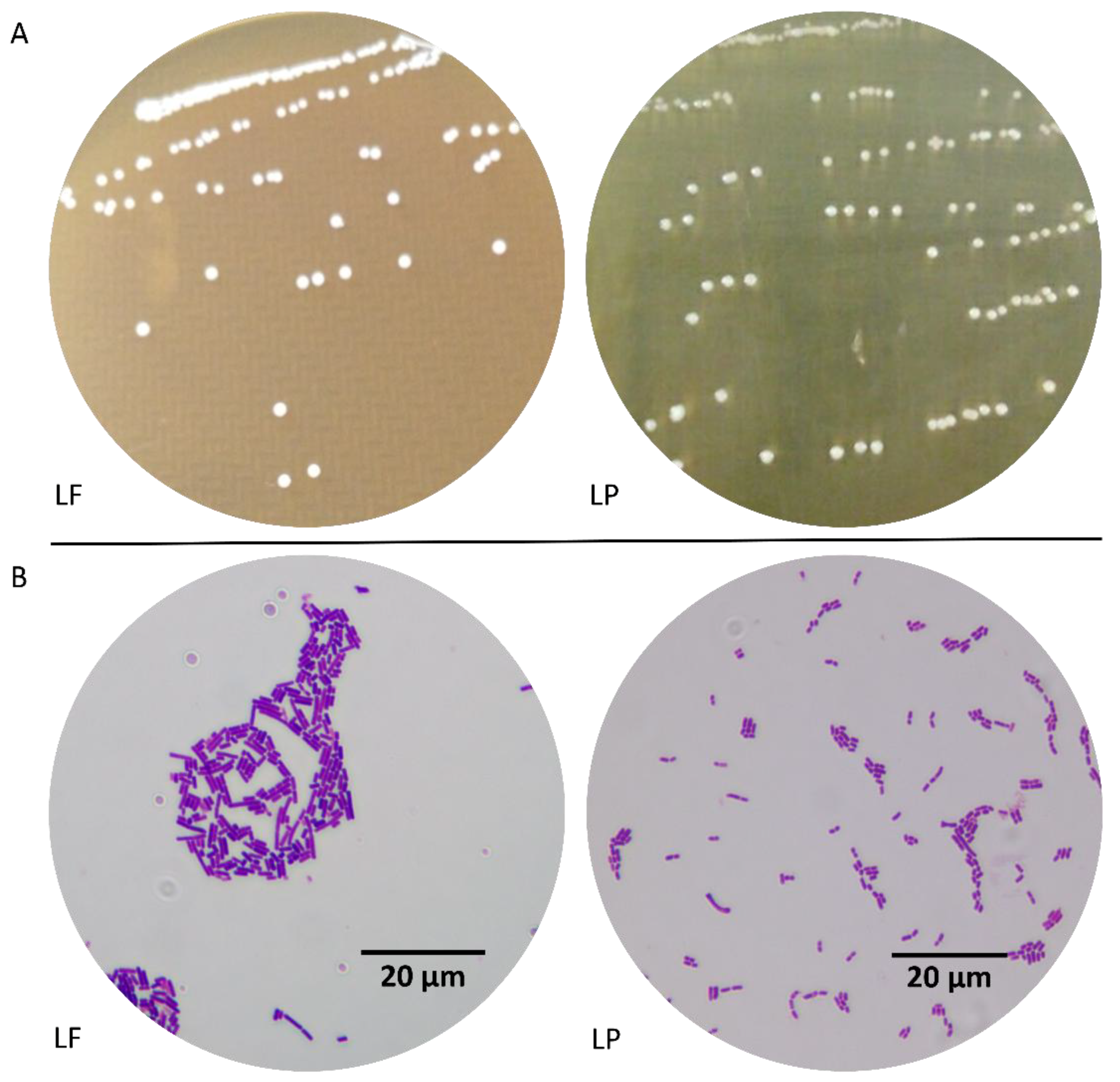 Applsci 08 01249 g002