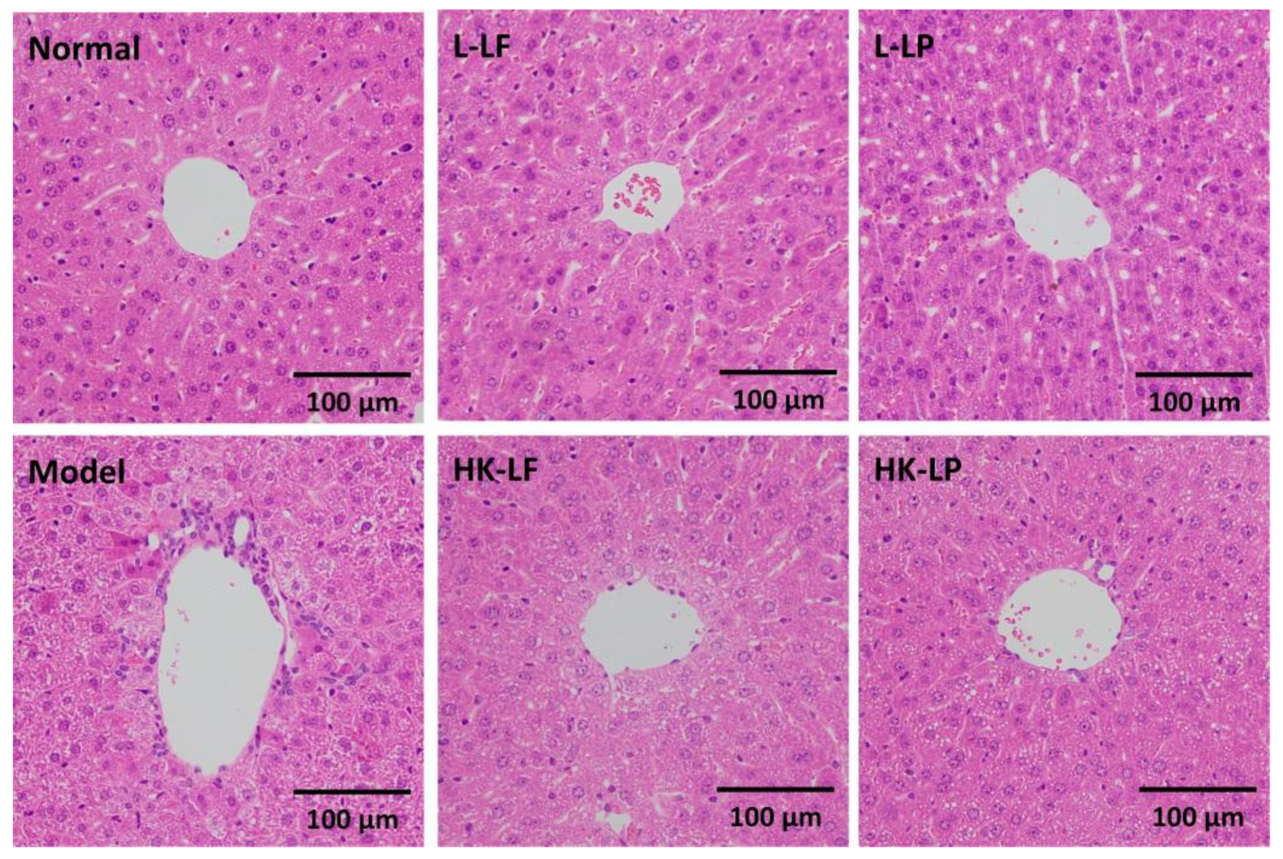 Applsci 08 01249 g006