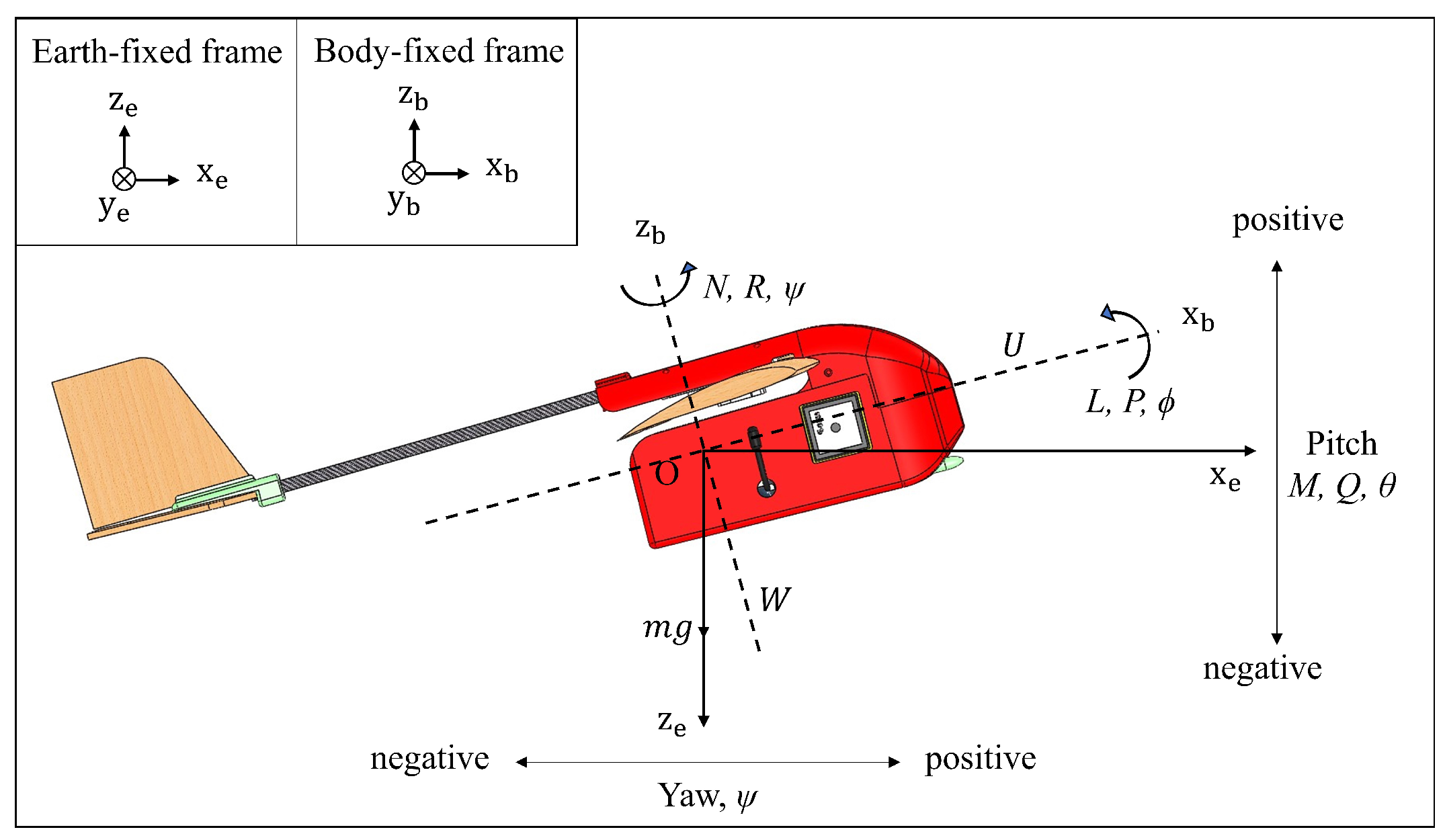 Center of gravity