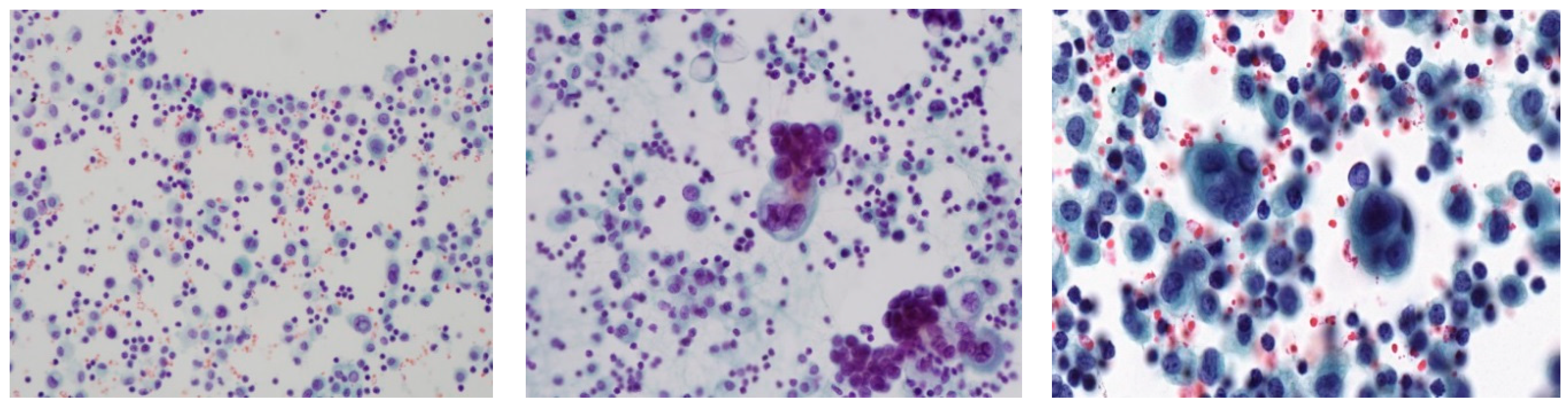 Applsci 08 01608 g002 Applsci 08 01608 g002