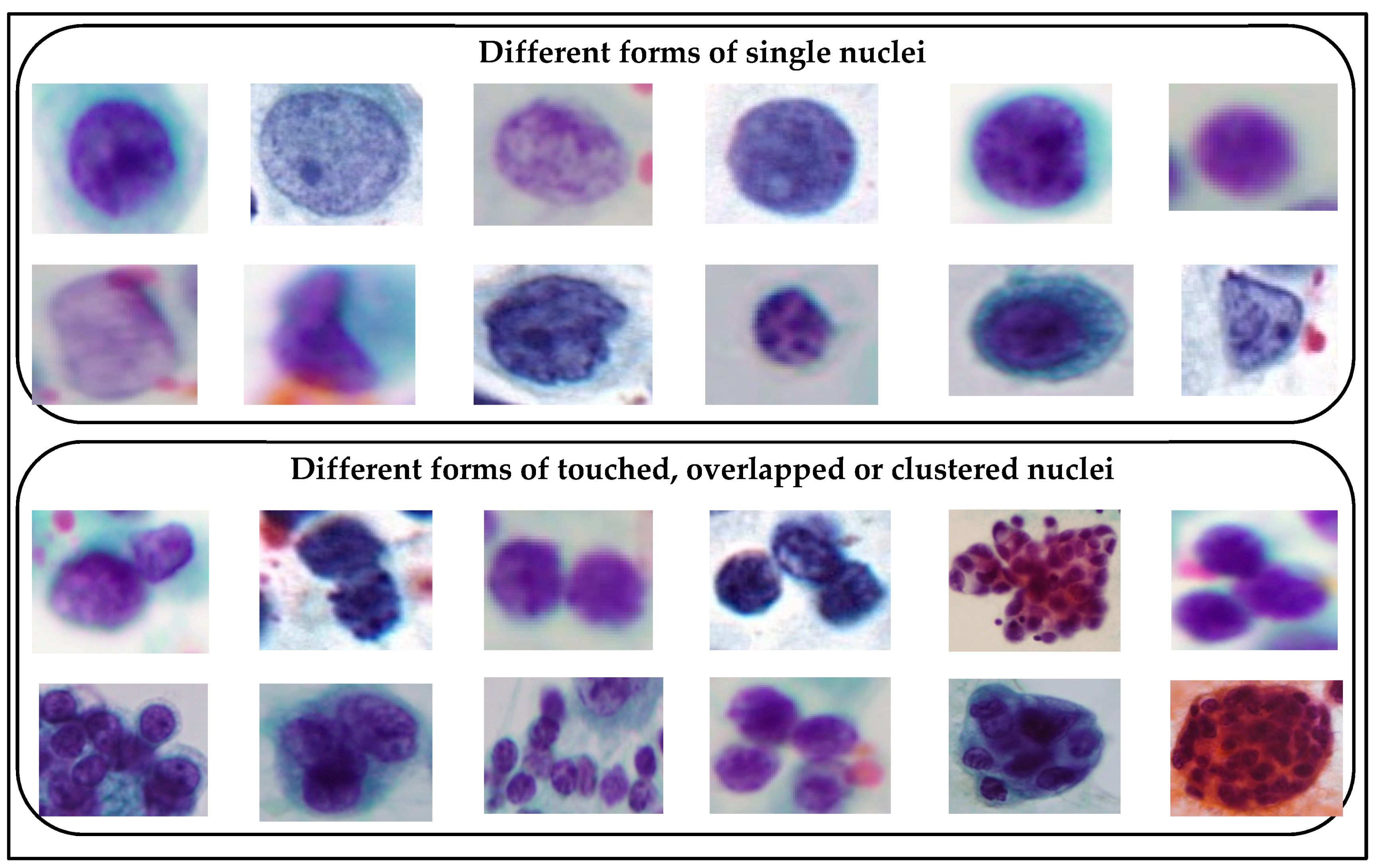 Applsci 08 01608 g010 Applsci 08 01608 g010