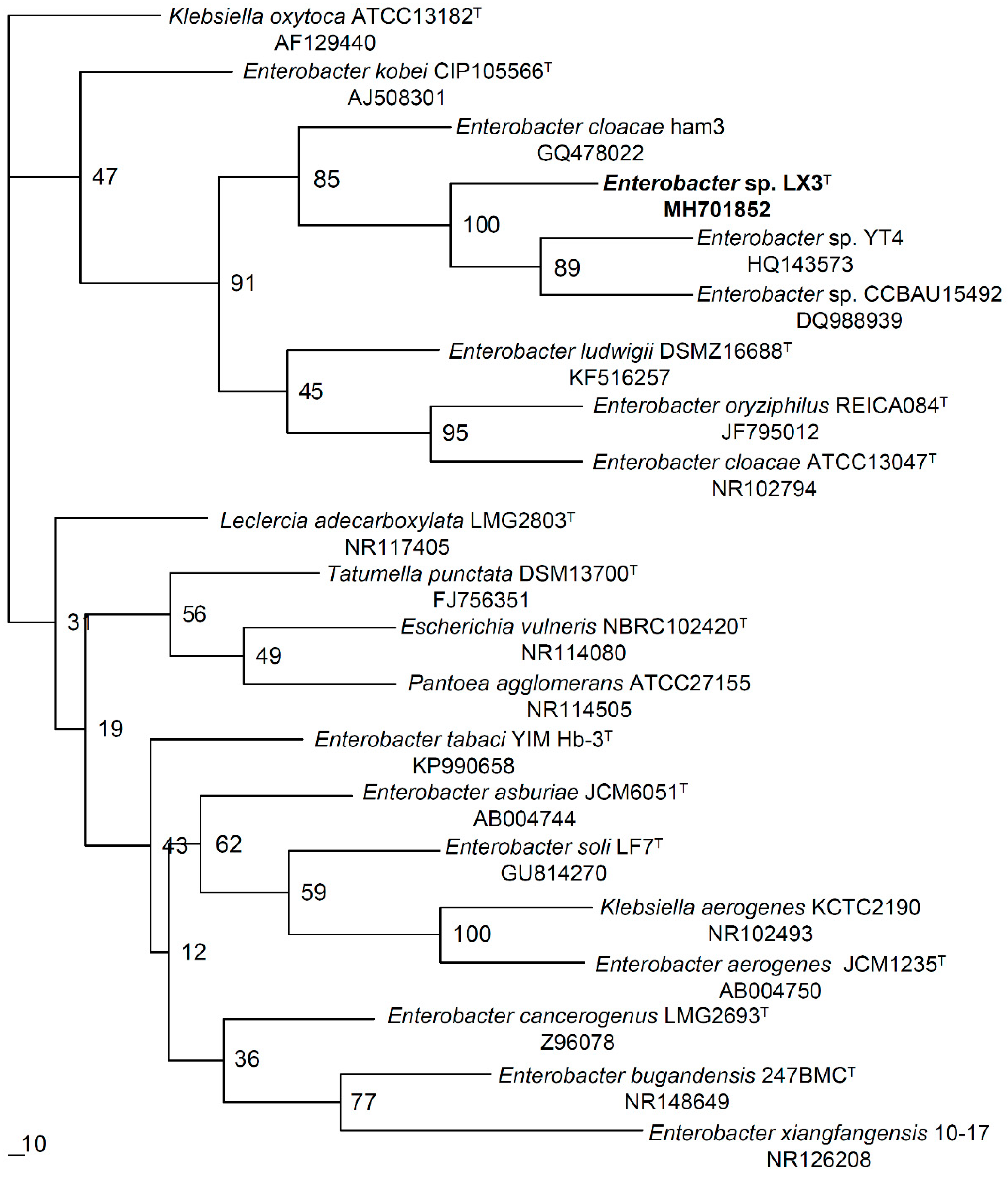 Applsci 08 02108 g002