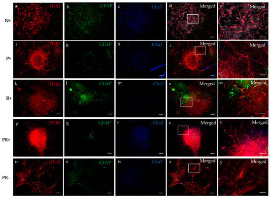 Applied Sciences Free Full Text 3d Bioprinting Human Induced Pluripotent Stem Cell Derived Neural Tissues Using A Novel Lab On A Printer Technology Html