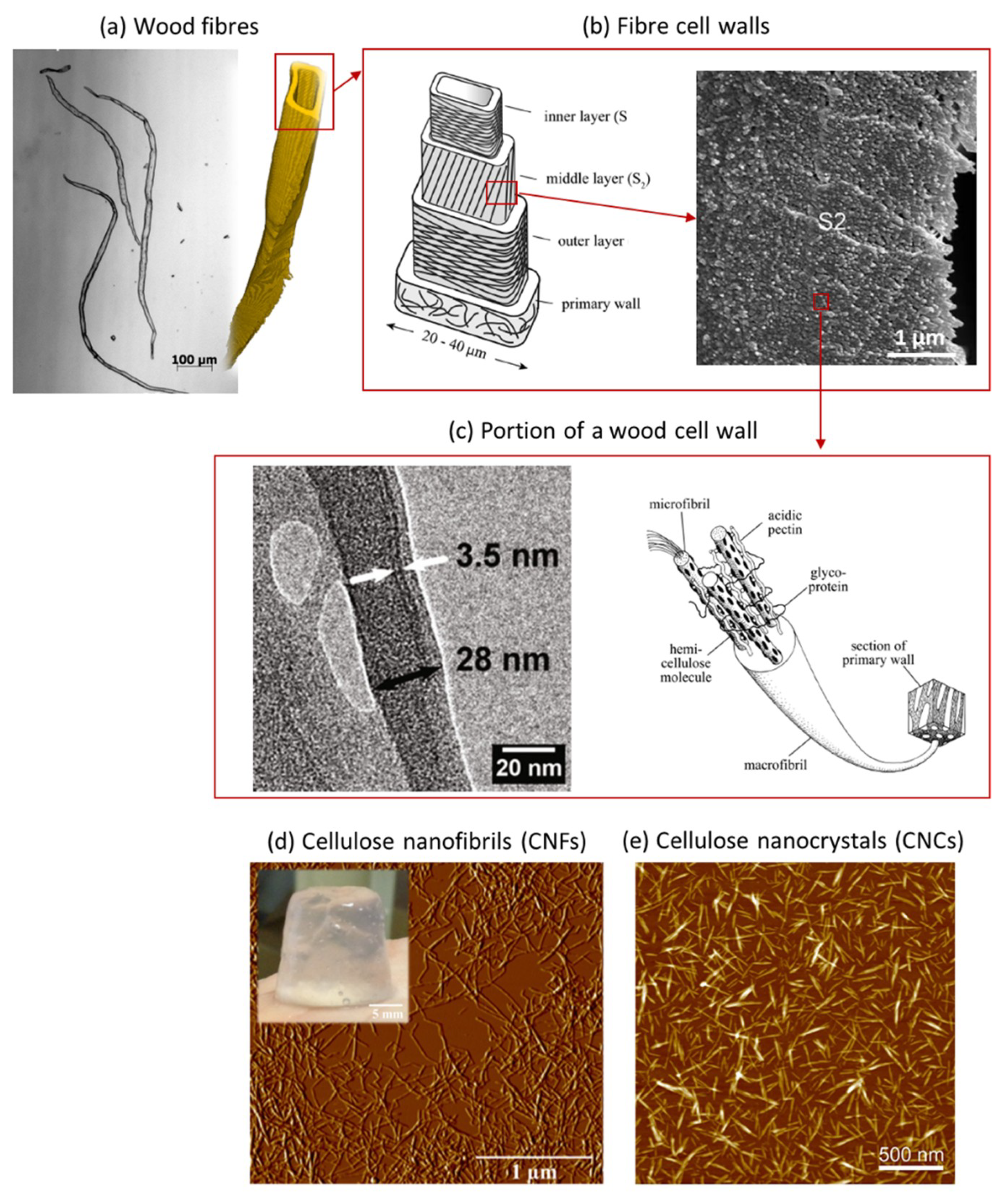 Ice-Templated Fabrication of Porous Materials with Bioinspired Architecture  and Functionality