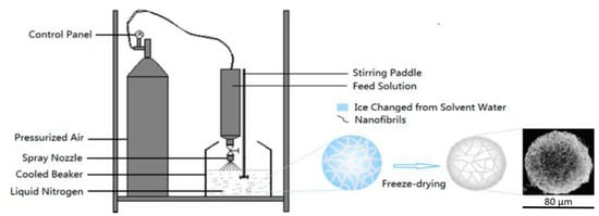 Ice-Templated Fabrication of Porous Materials with Bioinspired Architecture  and Functionality