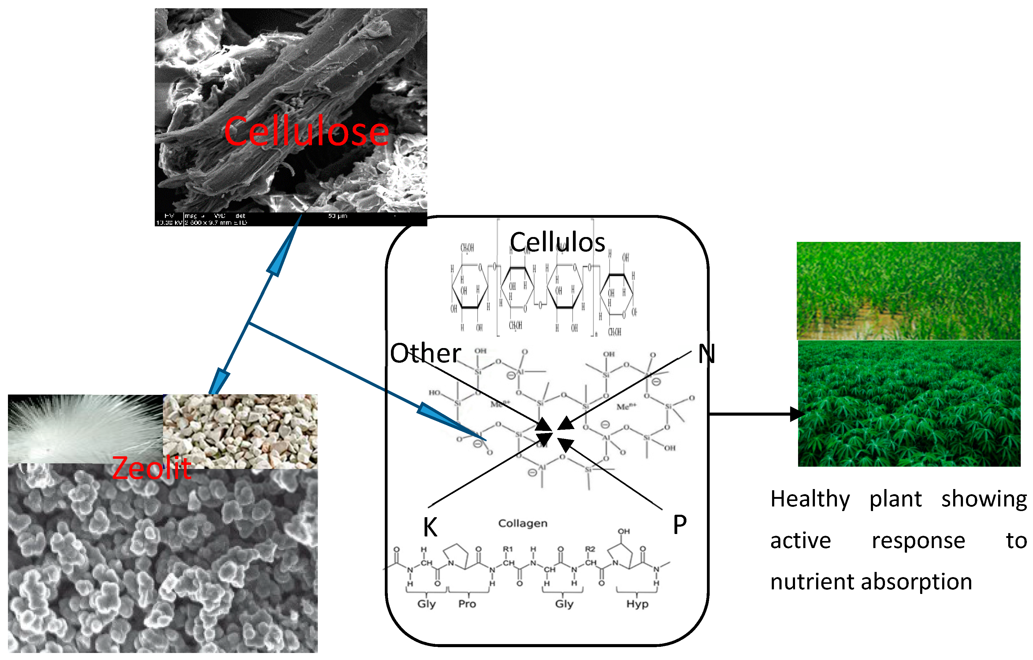Applied Sciences | Free Full-Text | The Role of Nanotechnology in the  Fortification of Plant Nutrients and Improvement of Crop Production