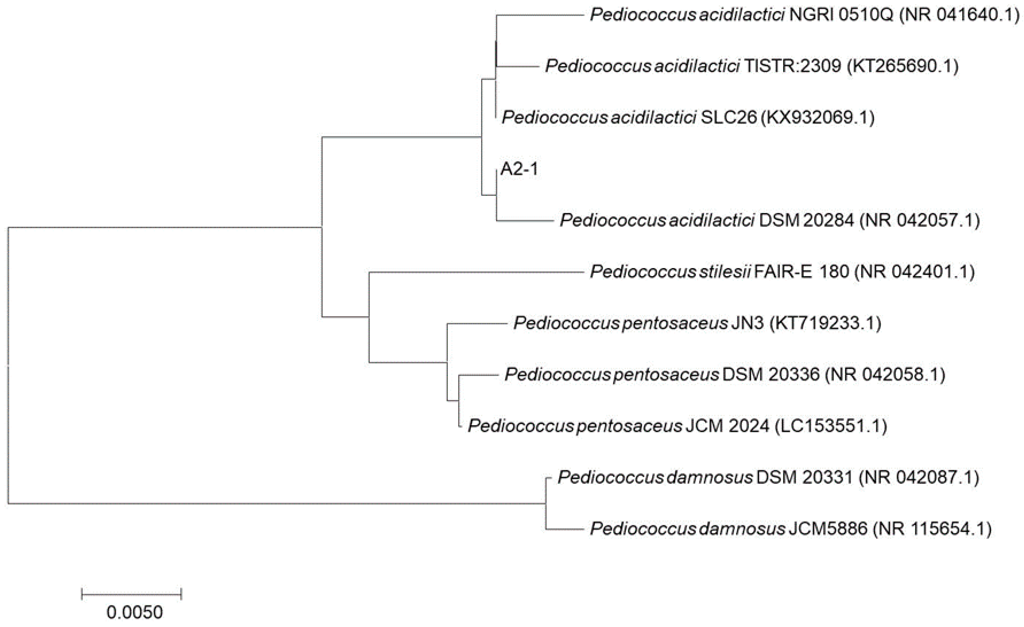 Applsci 09 00601 g002