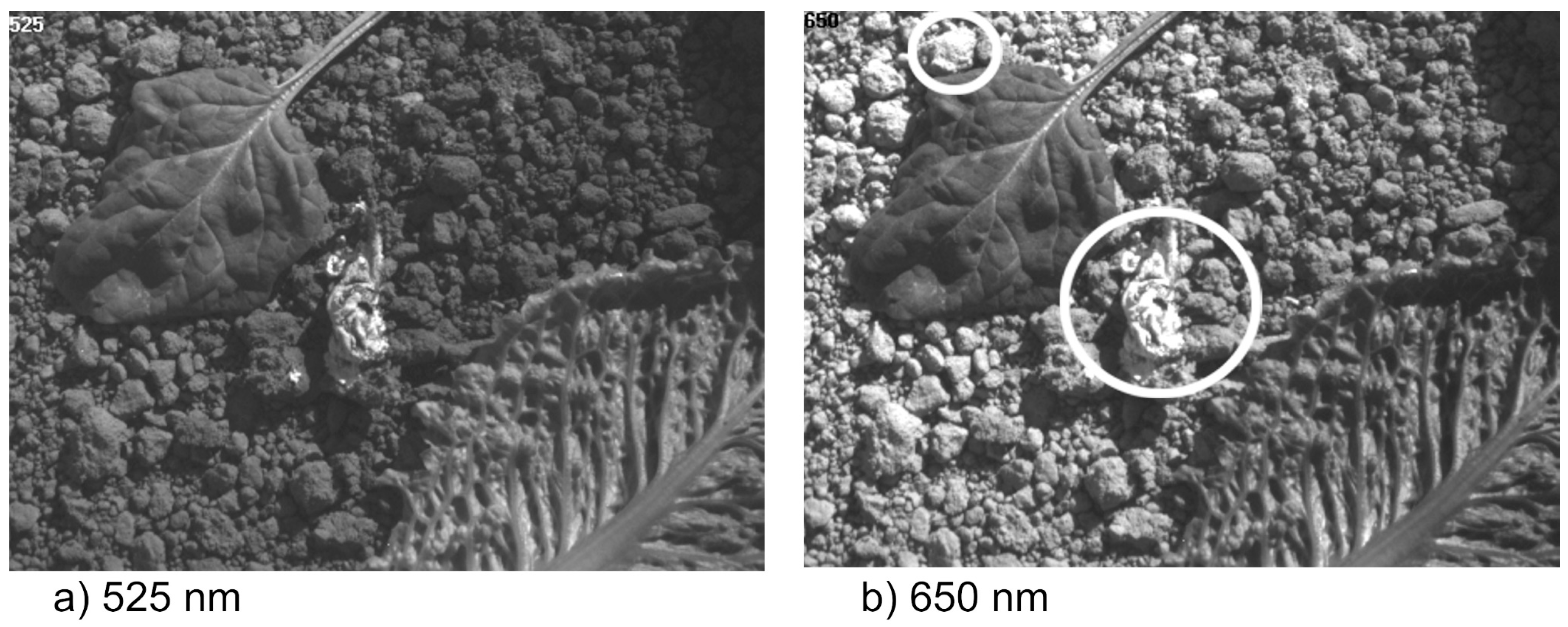 Applsci 09 00715 g009 Applsci 09 00715 g009