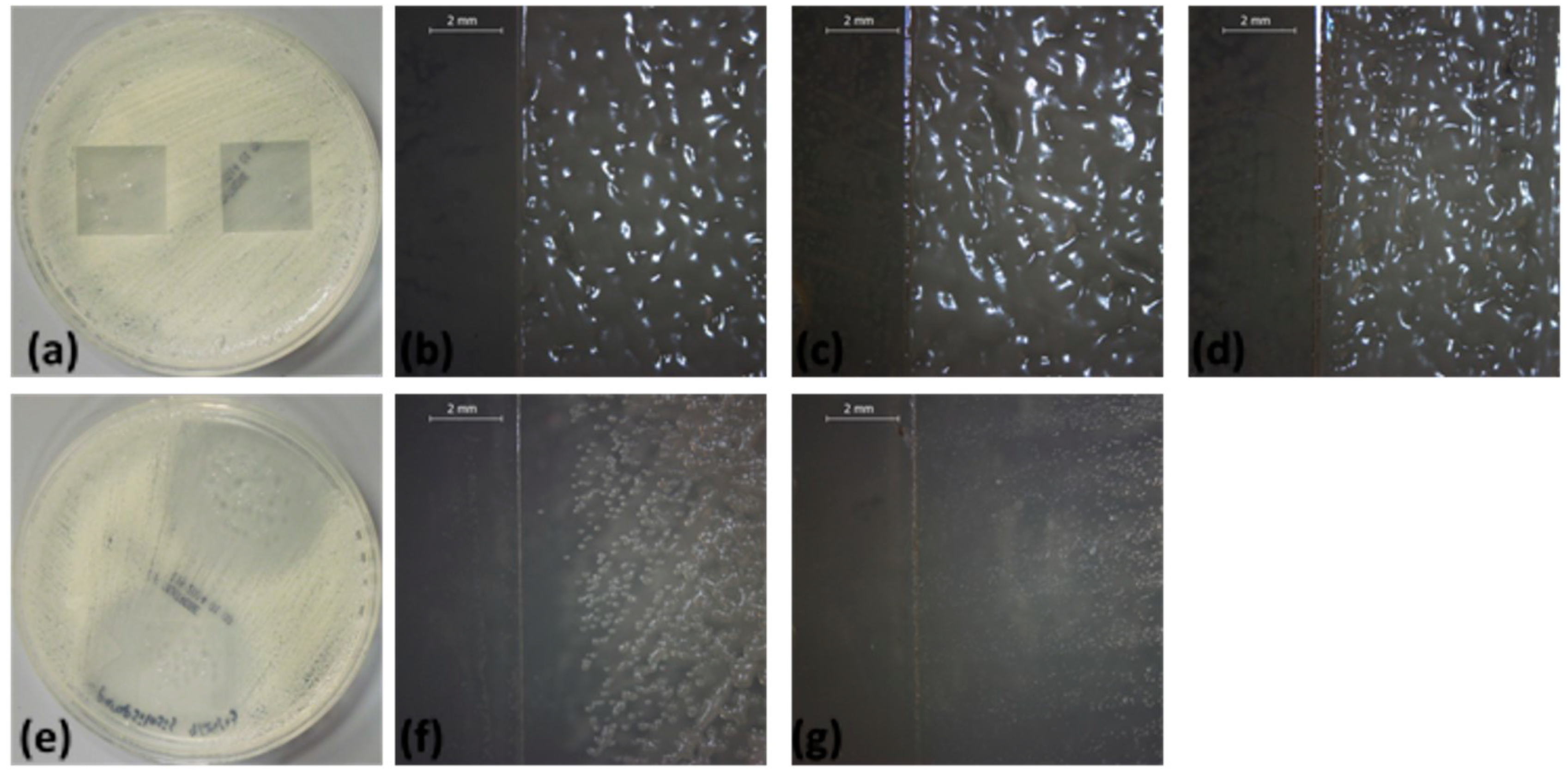 Applsci 09 00786 g004 Applsci 09 00786 g004