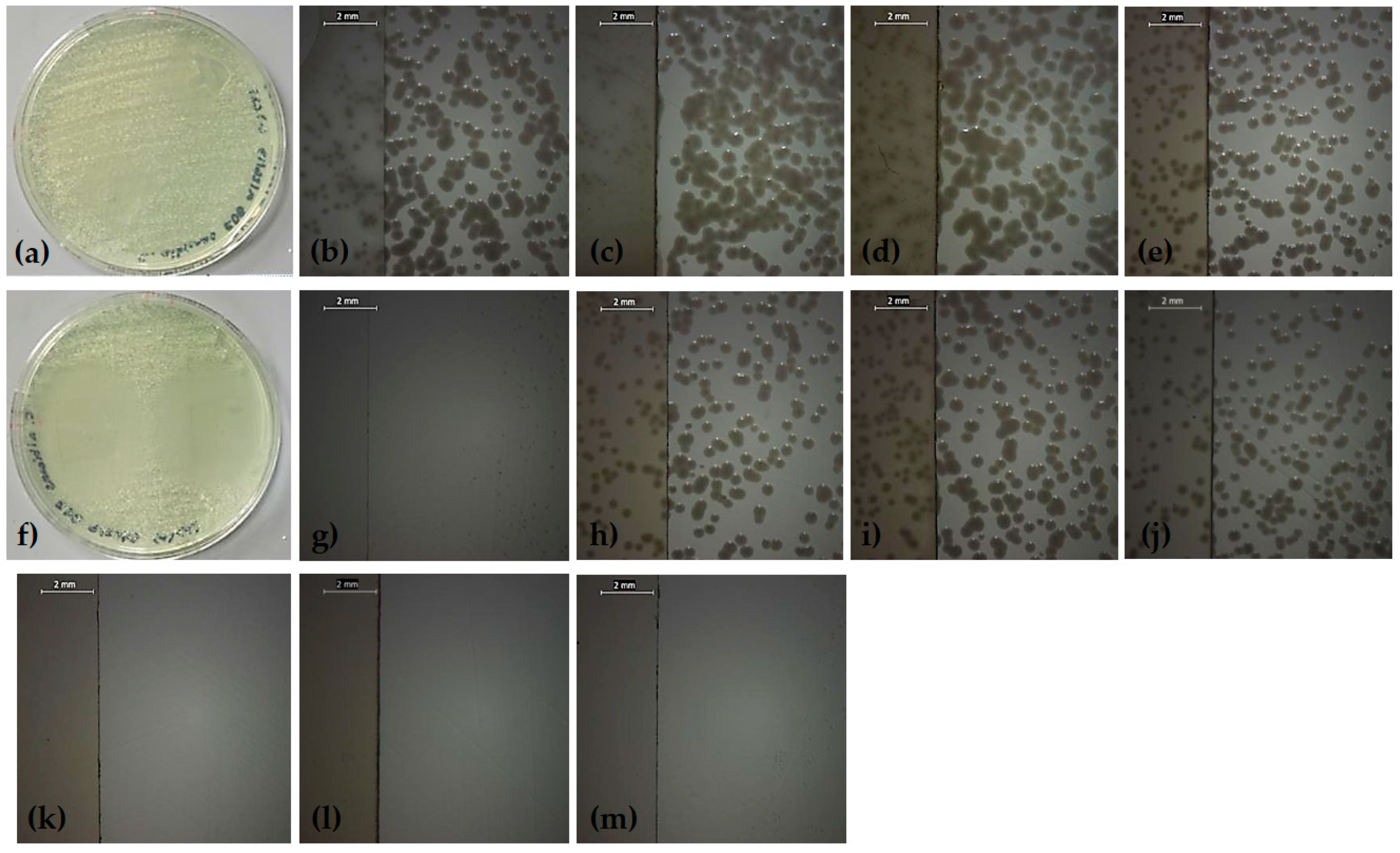 Applsci 09 00786 g005 Applsci 09 00786 g005