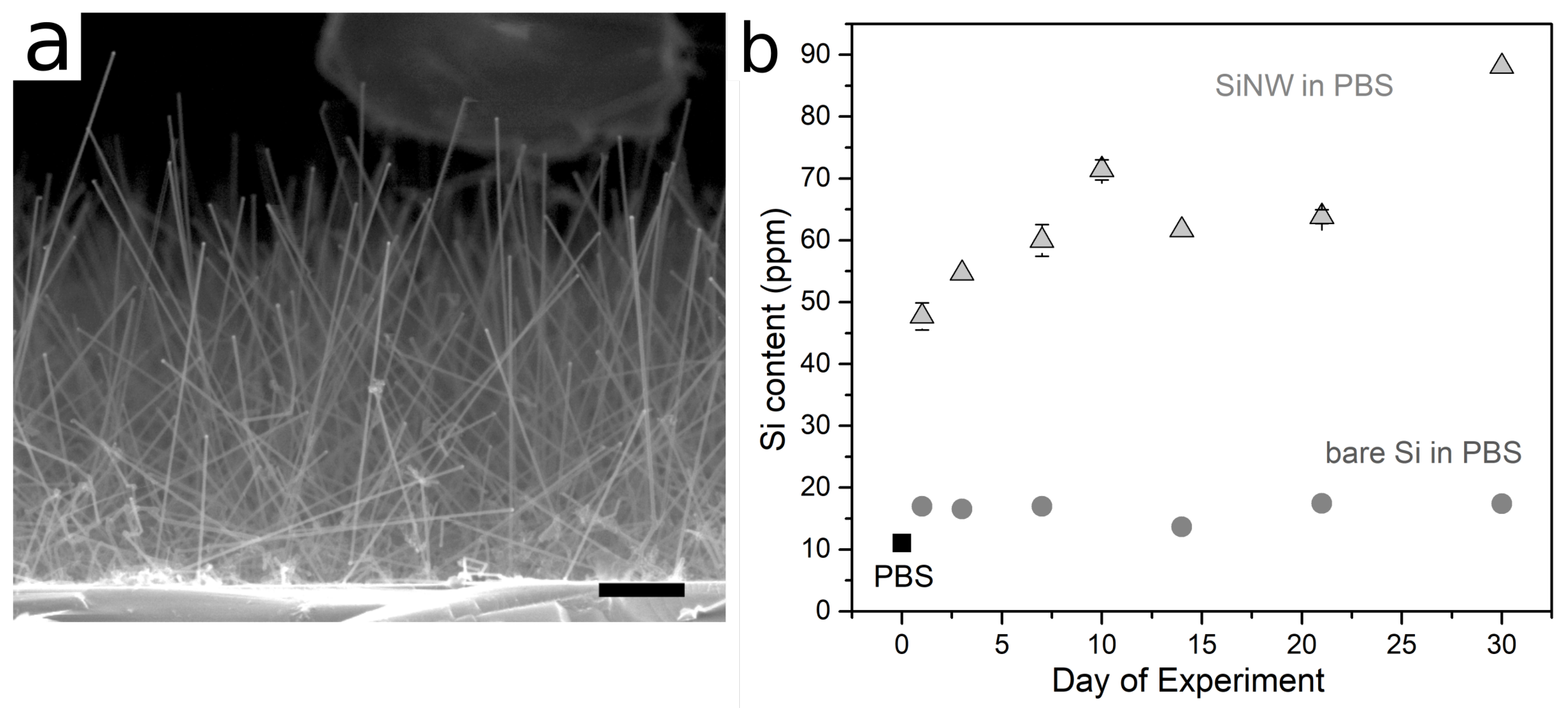 Applsci 09 00804 g001 Applsci 09 00804 g001