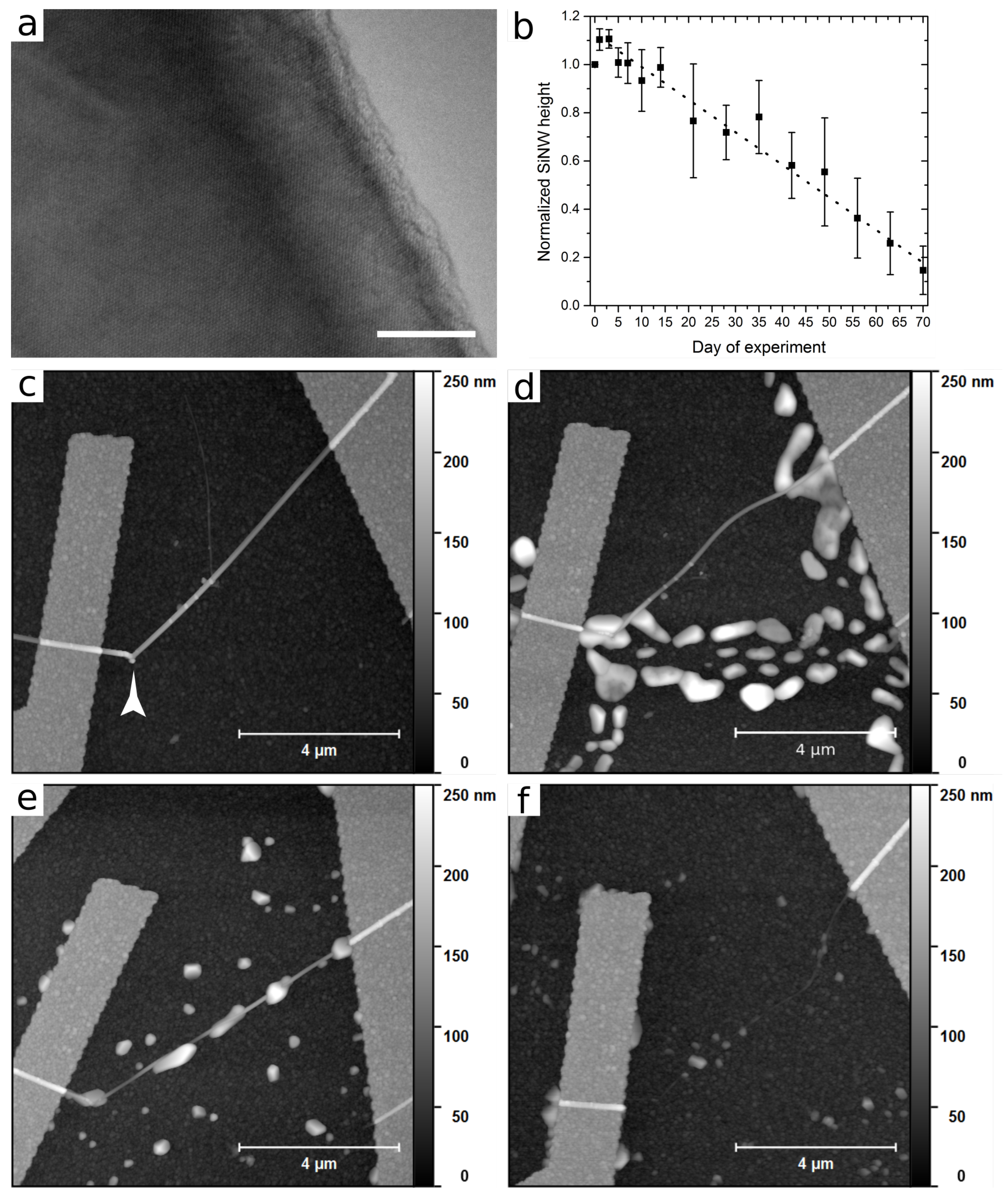 Applsci 09 00804 g002 Applsci 09 00804 g002