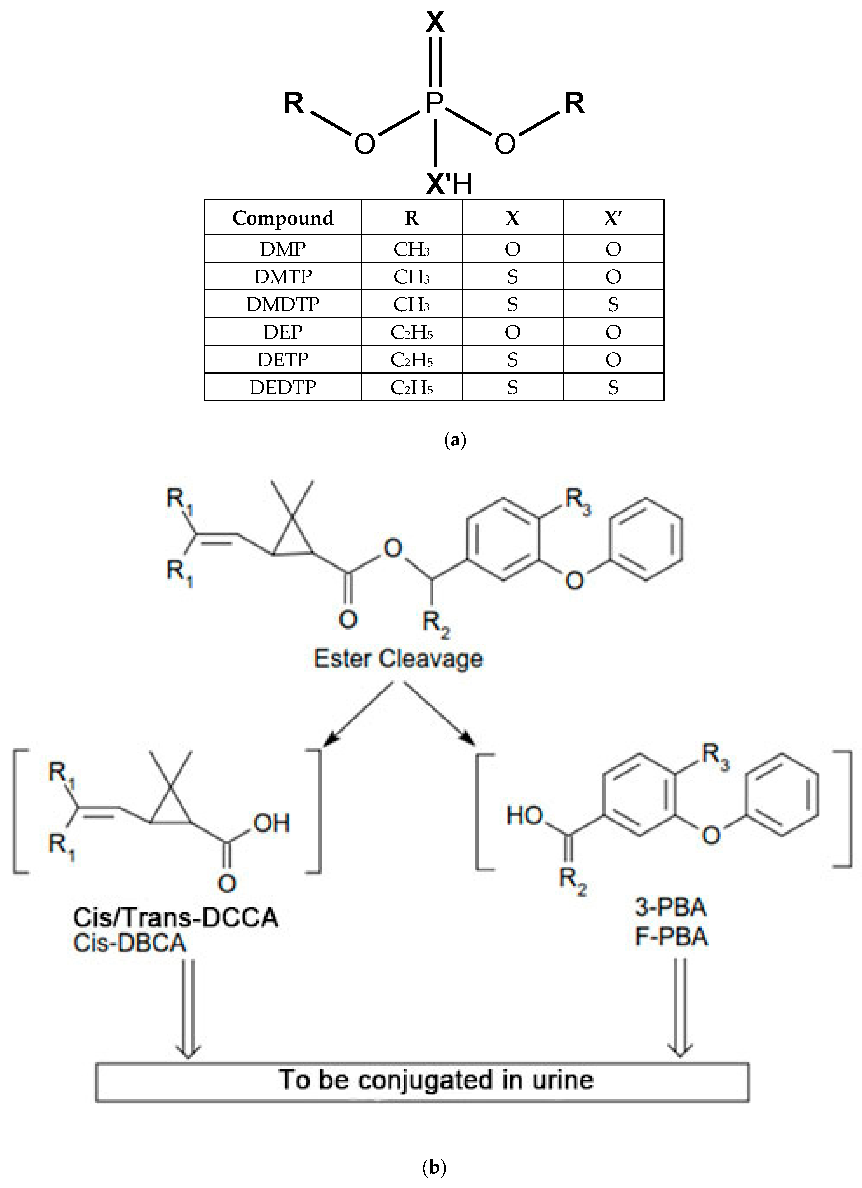 Applsci 09 00879 g001