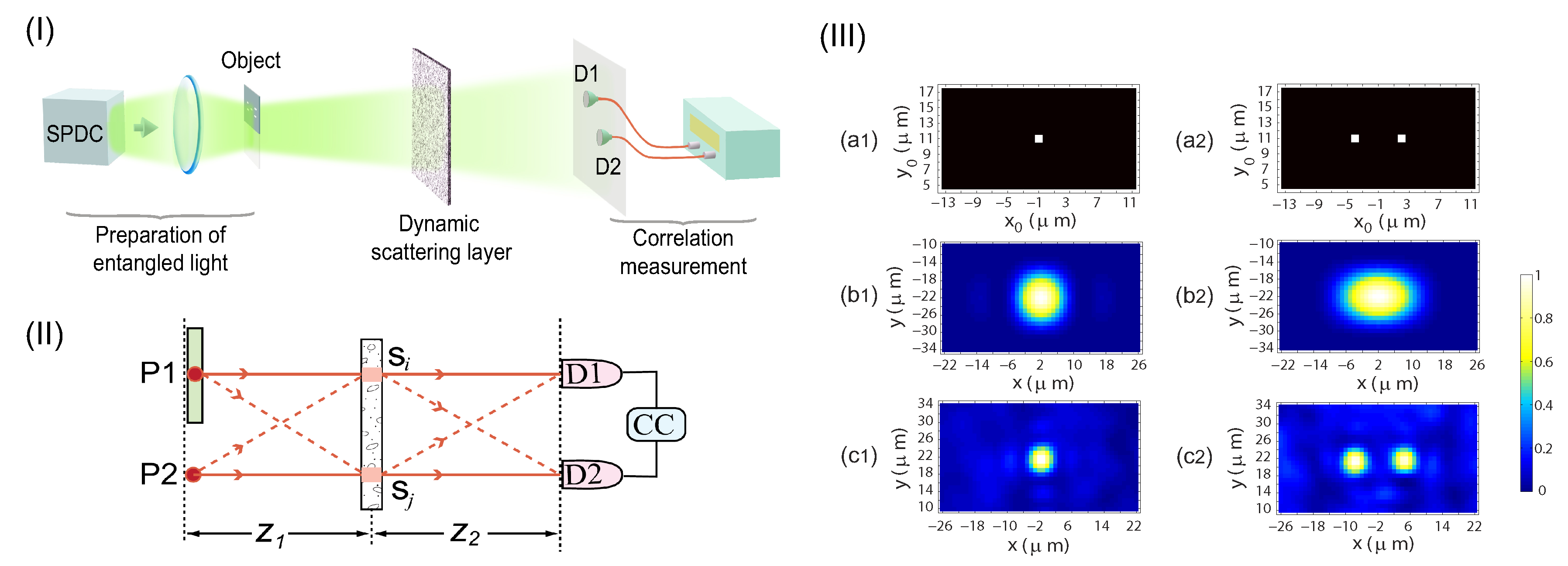 Optics & Photonics News - Super-Resolution Imaging with Airy Beams