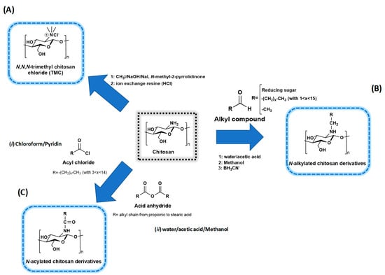 Applied Sciences Free Full Text Modification Of Chitosan For The Generation Of Functional Derivatives Html