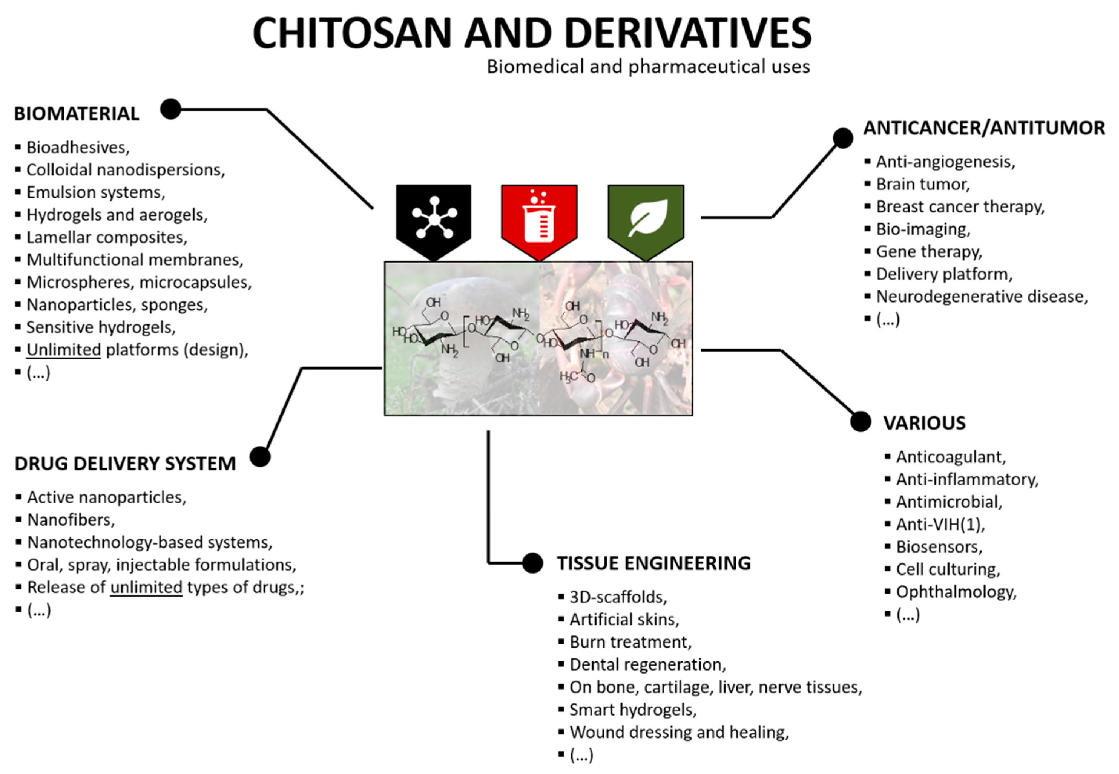 Applied Sciences Free Full Text Modification Of Chitosan For The Generation Of Functional Derivatives Html