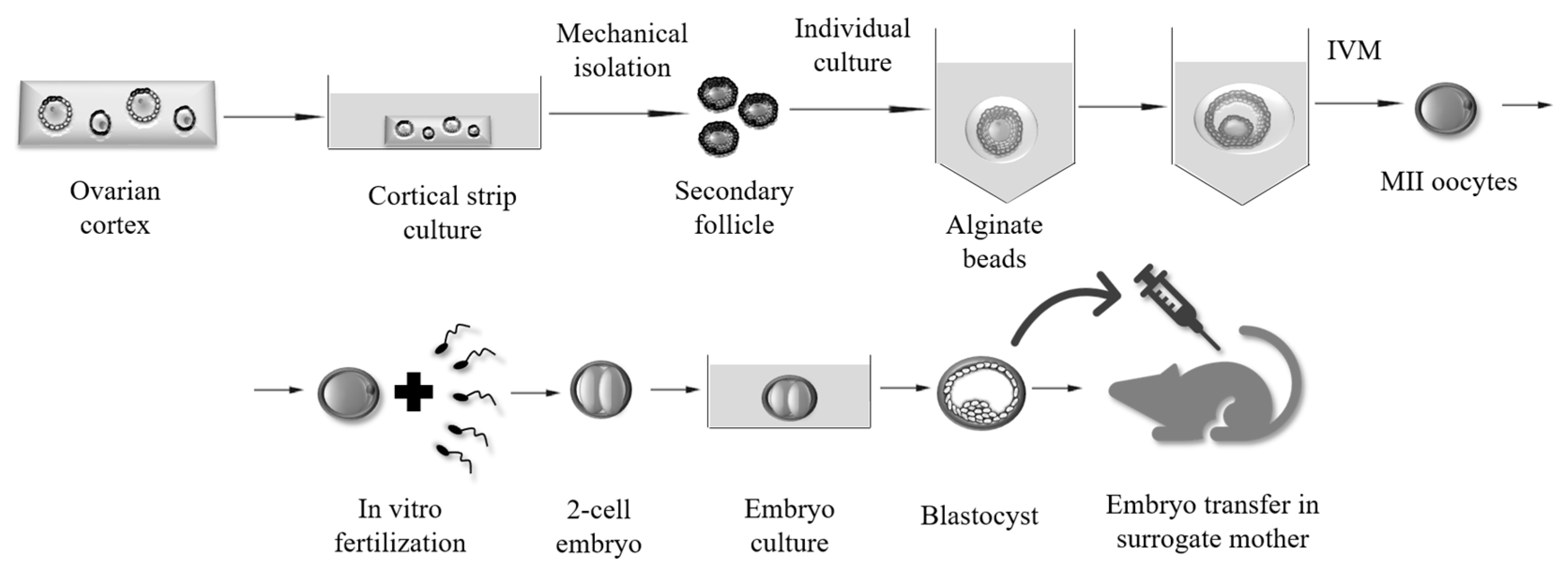 Applsci 09 01536 g003 Applsci 09 01536 g003