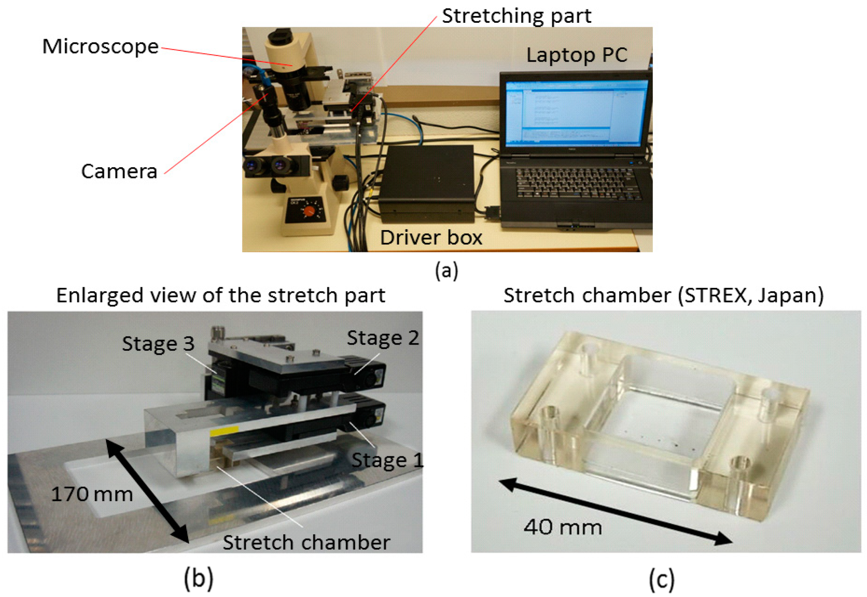 Applsci 09 01560 g003